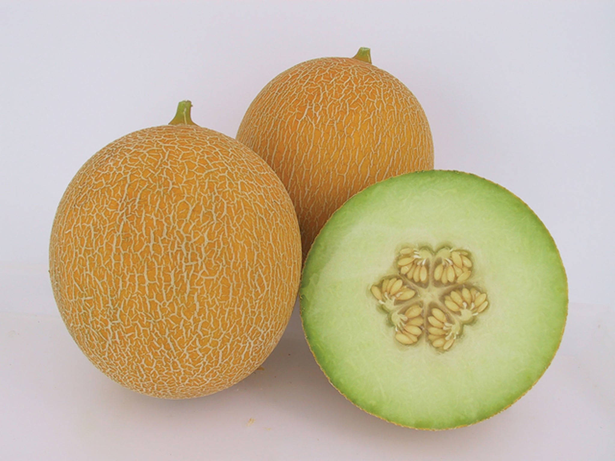 Honeydew Melon 桌布 壁紙 — 兩個完整的哈密瓜和一個切半的蜜瓜在潔白的背景上展現出多汁的綠色果肉和種子。
