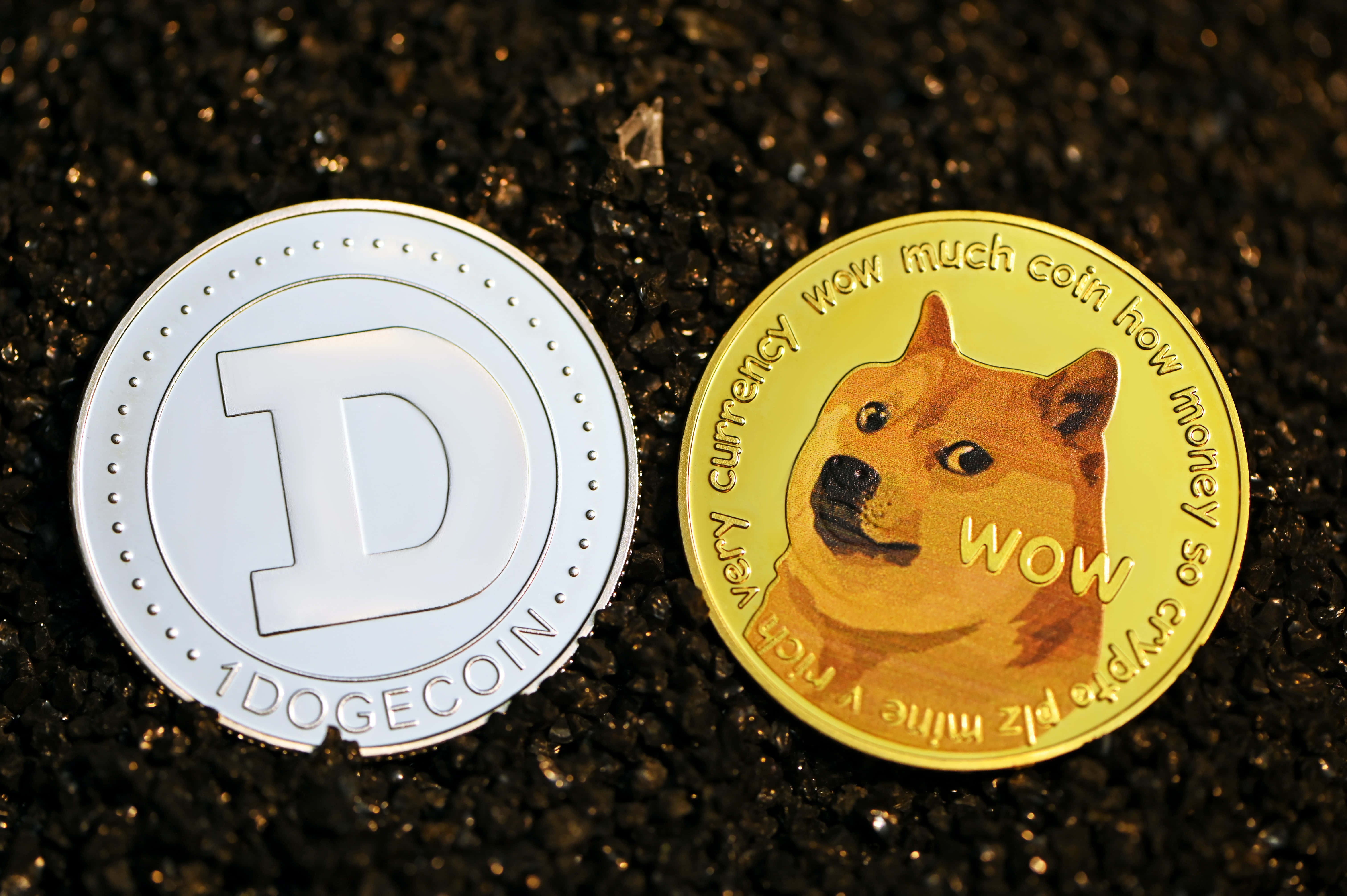 Dogecoin 桌布 壁紙 — 兩個實體加密貨幣硬幣，一個銀色狗狗幣和一個金色狗狗幣，帶有柴犬臉，放在深色礫石上。