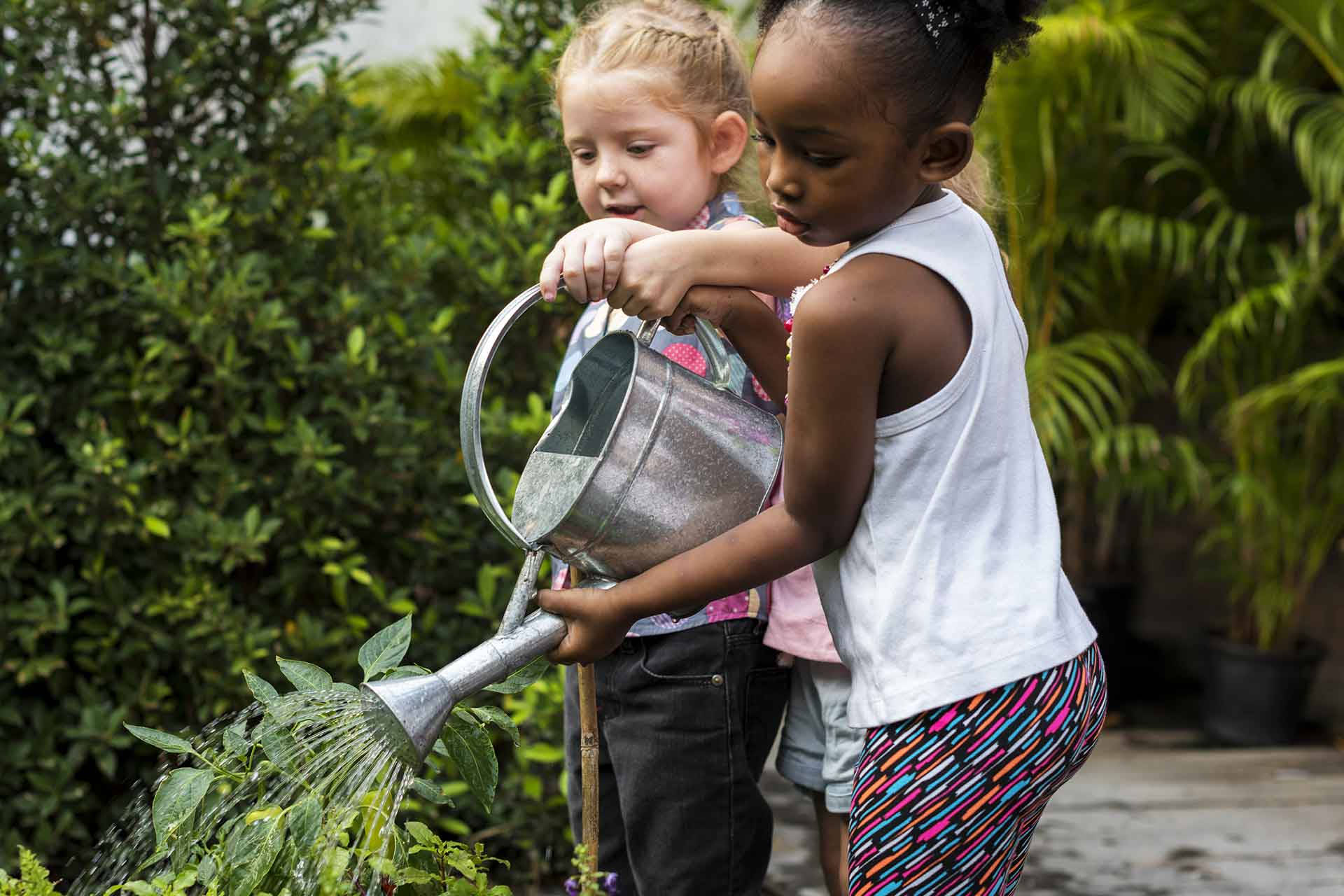 Gardening 桌布 壁紙 — 兩個小女孩在陽光明媚的花園裡，合作地用閃亮的金屬澆水壺給茂盛的綠色植物澆水。
