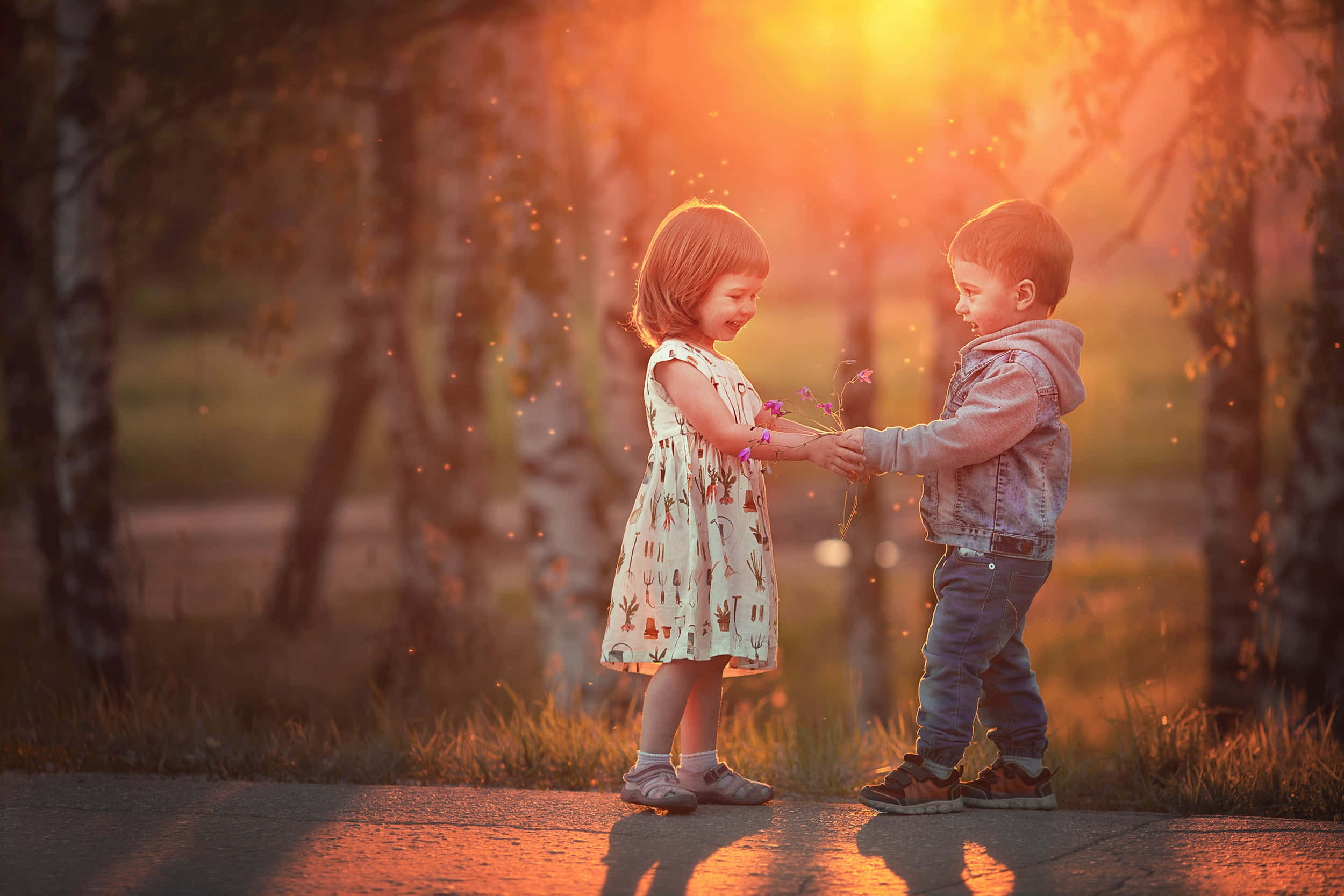 Cute Toddlers 桌布 壁紙 — 兩個小孩在溫暖的金色夕陽穿過樹林時交換一小束花。