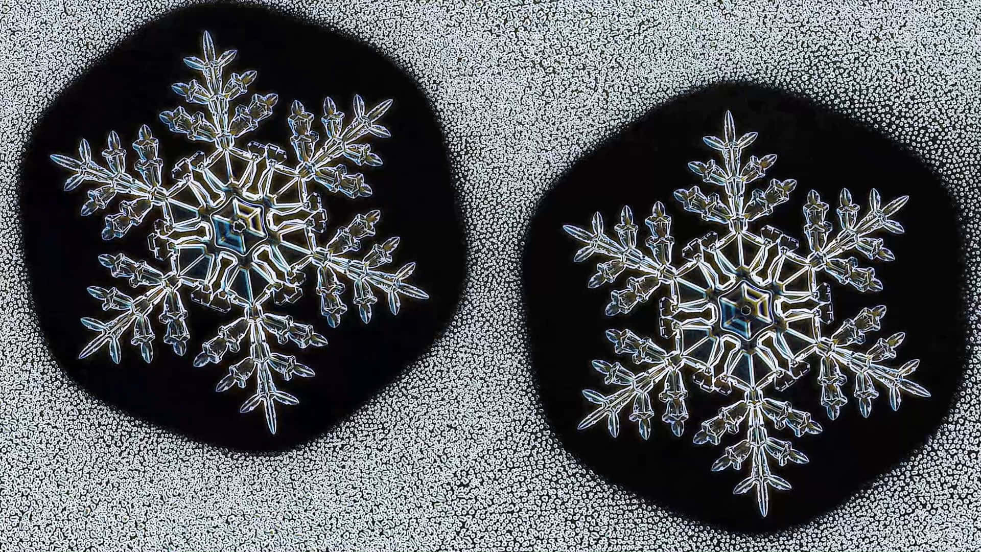 雪花 桌布 壁紙 — 兩個帶有金屬光澤的複雜冰晶，放置在帶有紋理的灰色表面上，背景為黑色圓形。