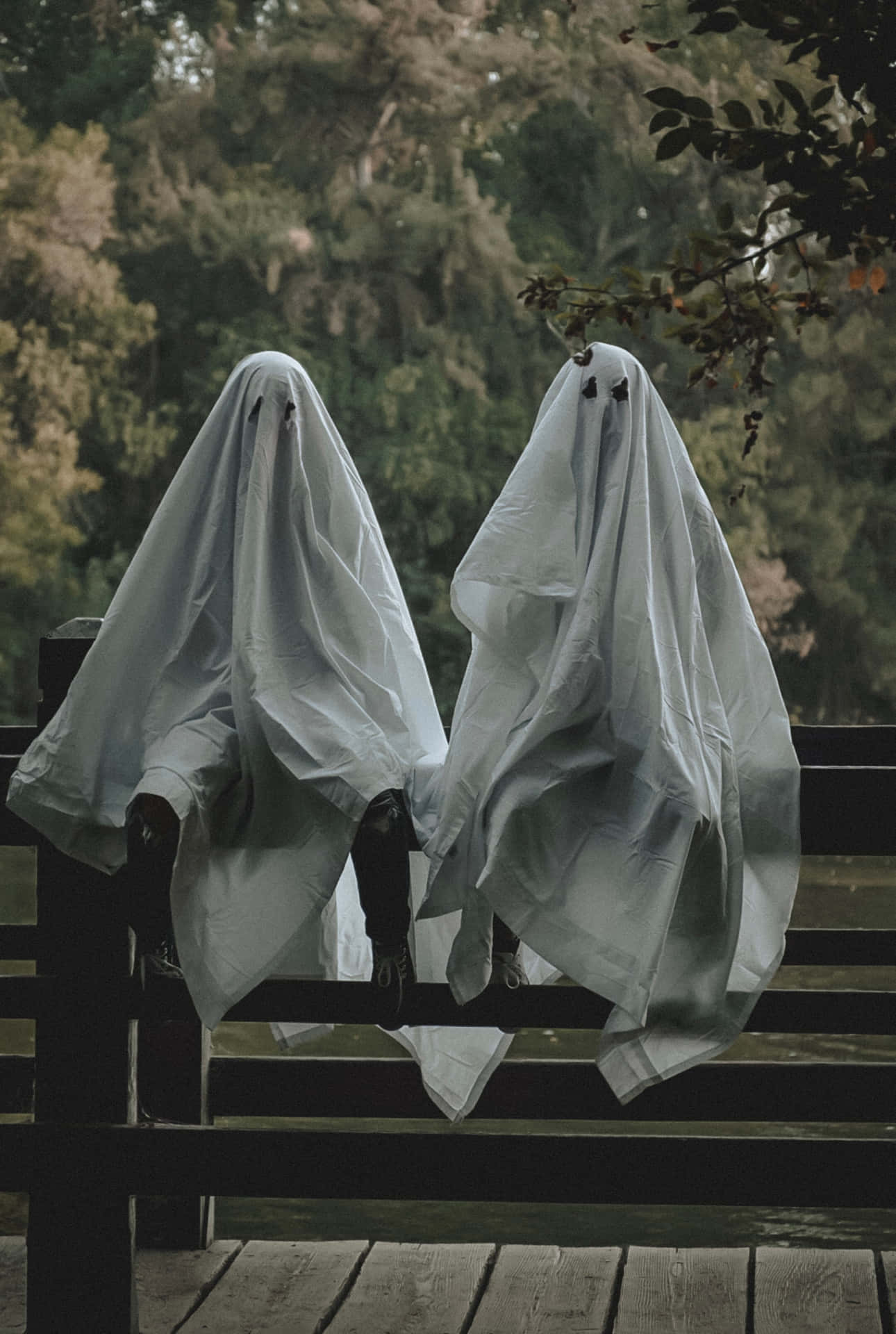 鬼魂 桌布 壁紙 — 兩個帶黑色鈕扣眼睛的鬼魂服裝並排坐在森林地區的木凳上。