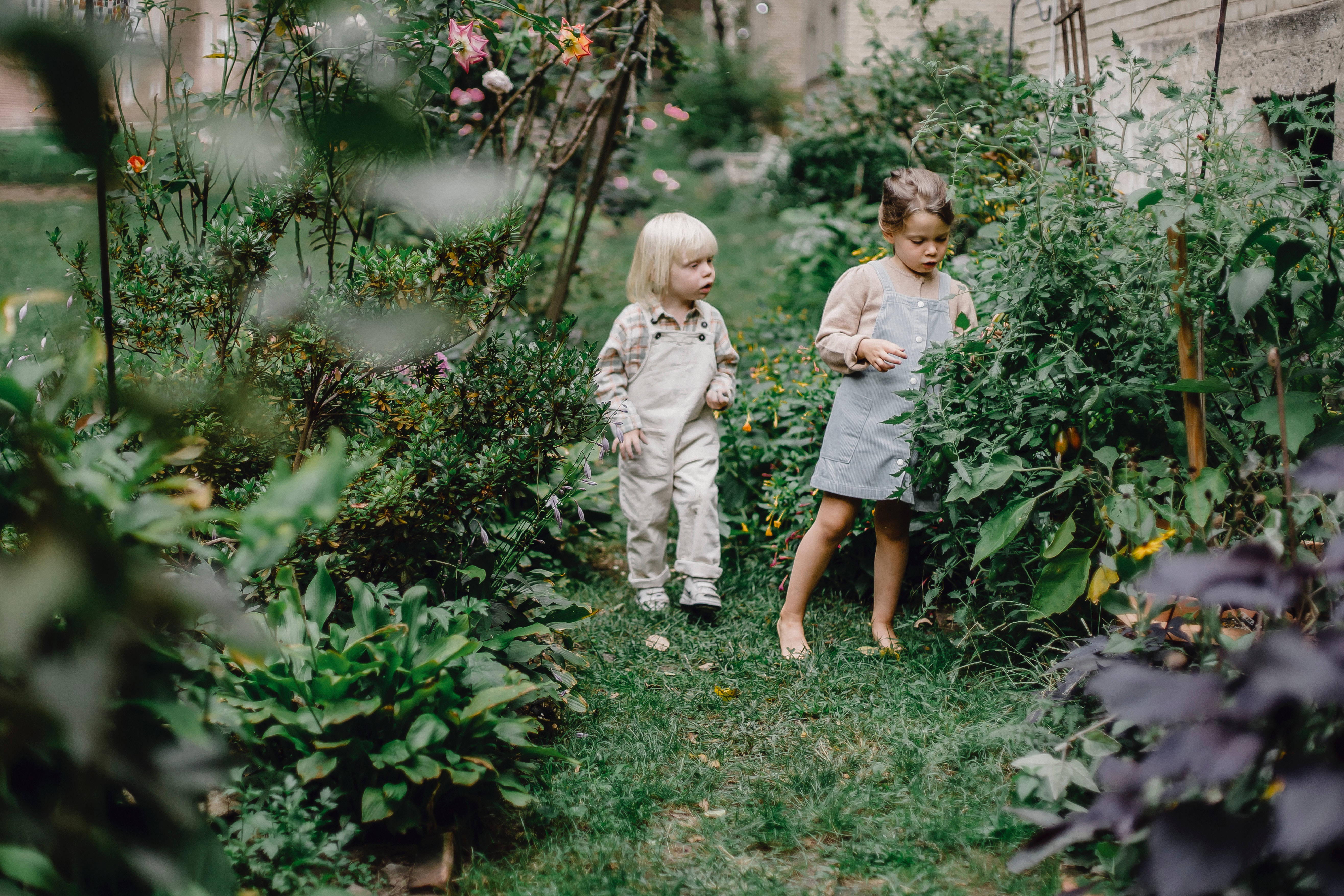 Garden 桌布 壁紙 — 兩個年幼的孩子漫步在一條茂密叢生的花園小徑上，周圍環繞著生機勃勃的綠植和盛開的花朵。