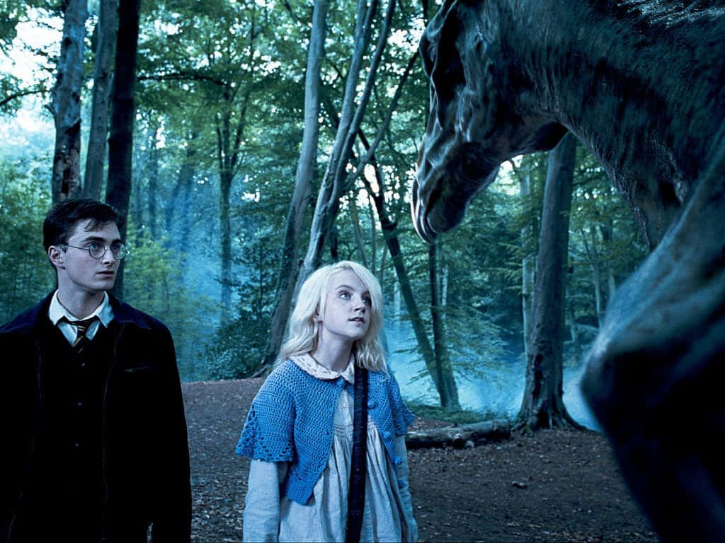 Thestral 桌布 壁紙 — 兩個年輕巫師站在迷霧森林中，一個巨大的黑暗生物籠罩在他們上方。