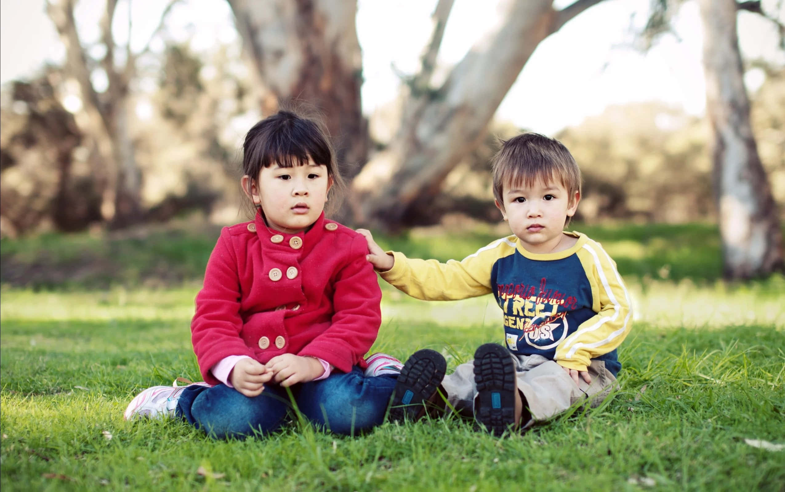 Brother And Sister 桌布 壁紙 — 兩個幼兒坐在樹下的草地上，一個穿著紅色外套，另一個穿著黃色袖子，看著相機。