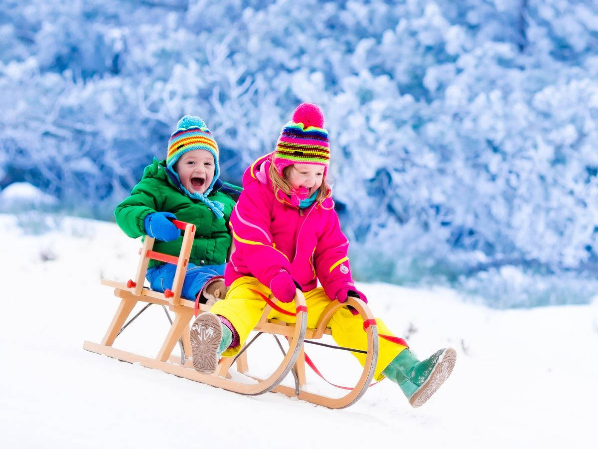 sledding 桌布 壁紙 — 兩個快樂的孩子穿著色彩繽紛的冬季裝備，在雪白的山坡上滑雪橇，背景是結霜的樹木。