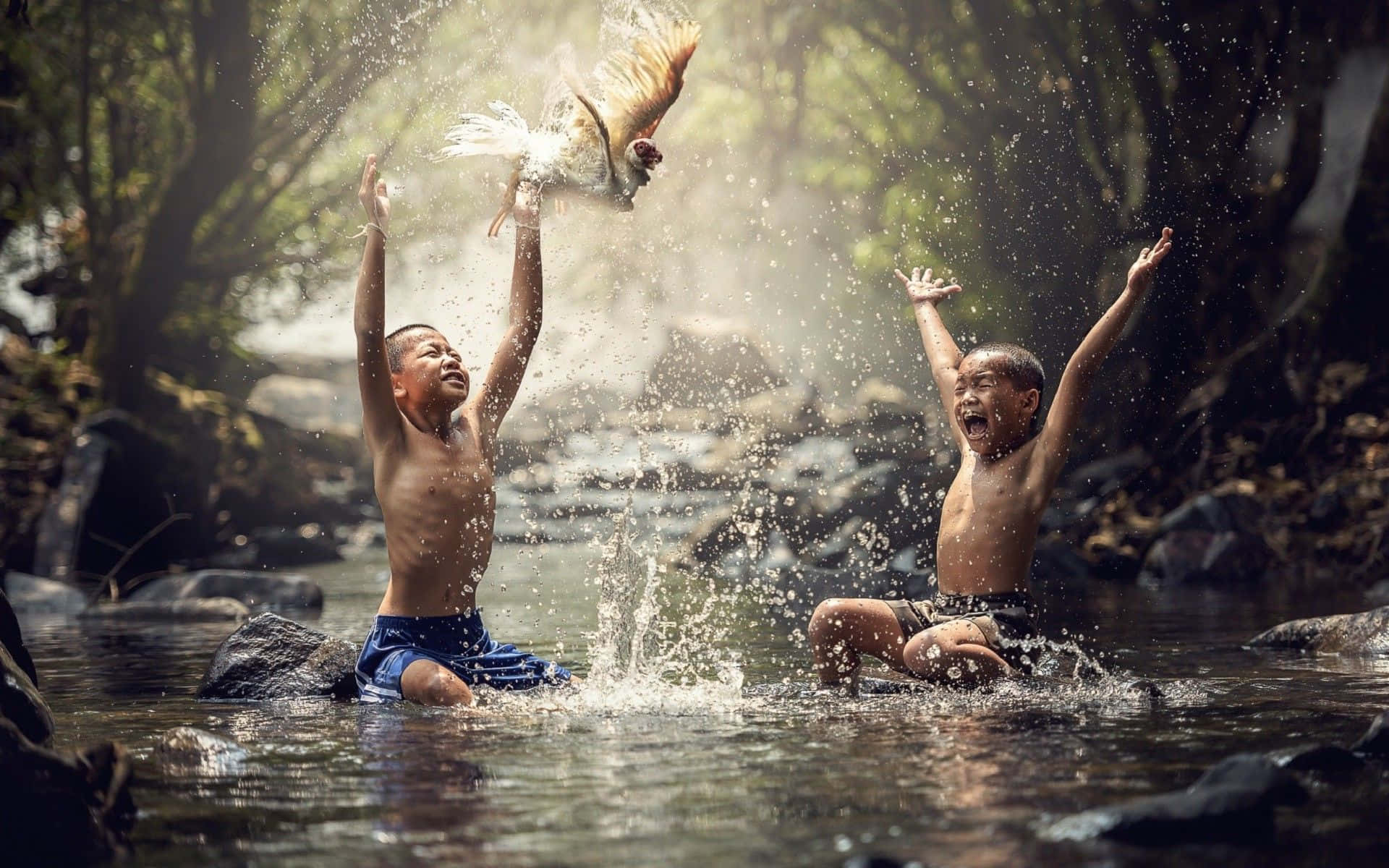 Contentment 桌布 壁紙 — 兩個快樂的男孩在森林溪流中潑水，一隻公雞在他們上方飛過，濺起一片水花。