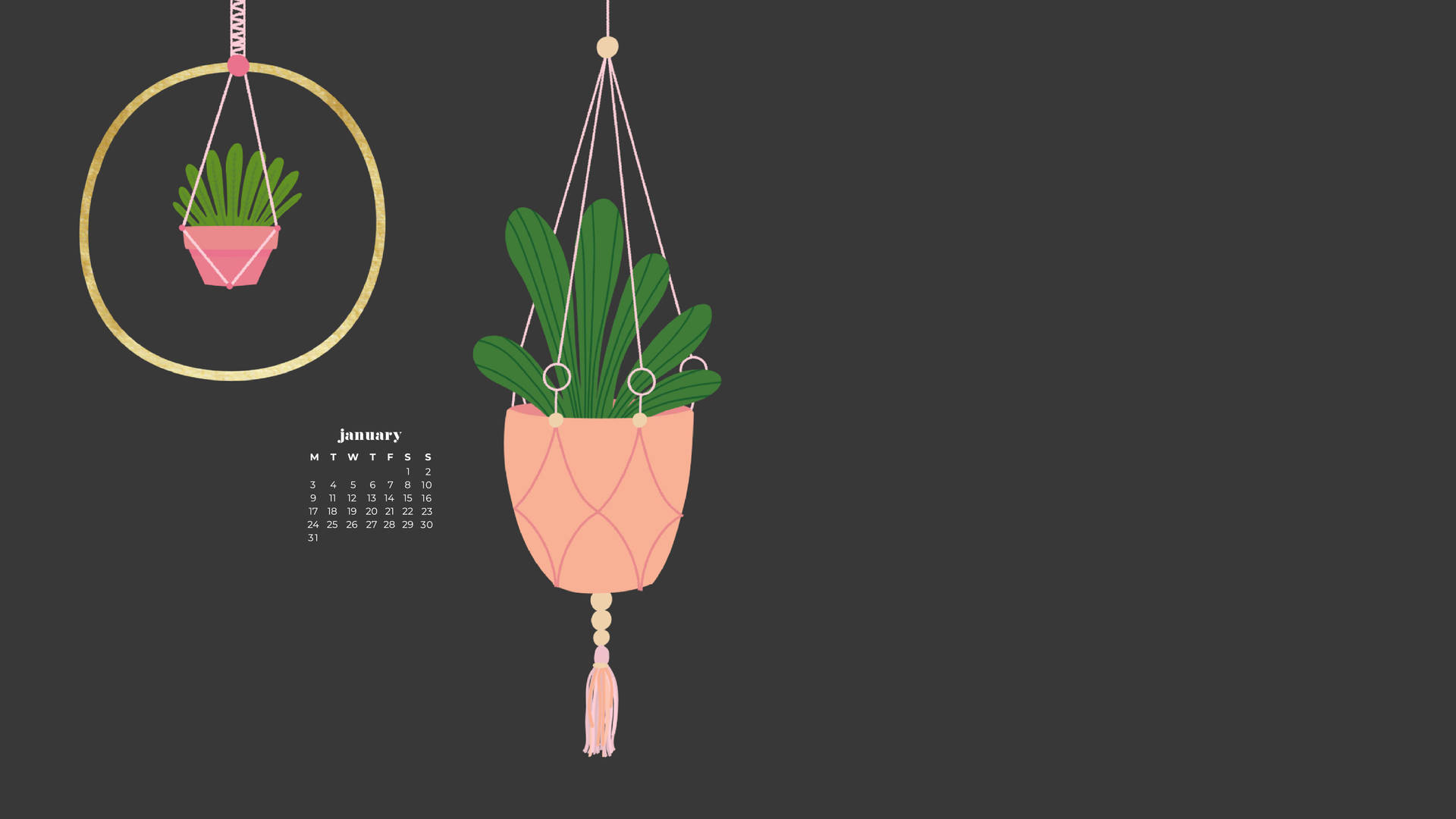 一月日曆，帶有兩個懸掛的 macrame 花盆，背景為深灰色。 — 一月 GIF 壁紙