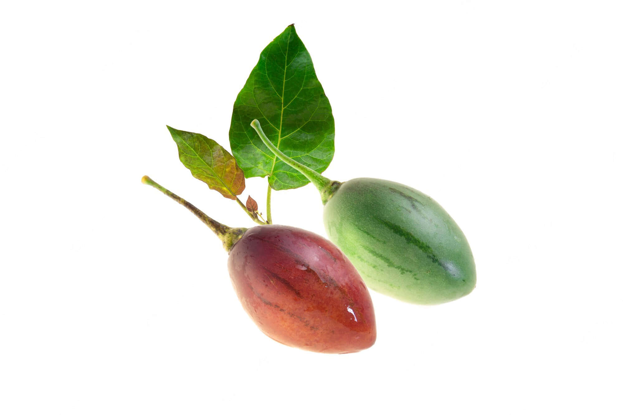 Fruit 桌布 壁紙 — 兩個成熟和未成熟的茄子，帶有綠色葉子，懸掛在純白色背景上。