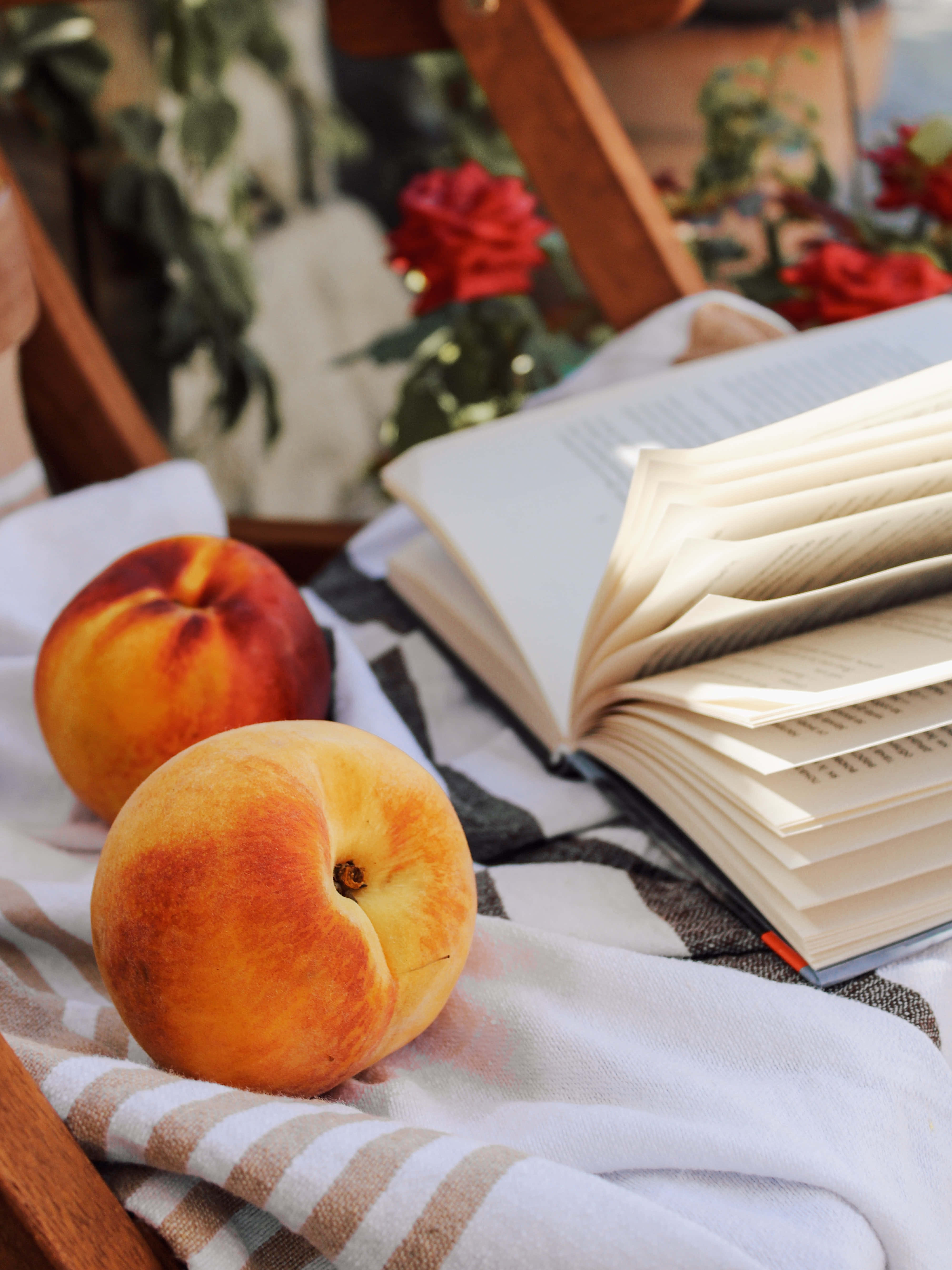 Peaches 桌布 壁紙 — 兩個成熟的桃子在柔和的日光下，放在一條有紅色玫瑰和木椅的條紋布上，旁邊有一本打開的書。