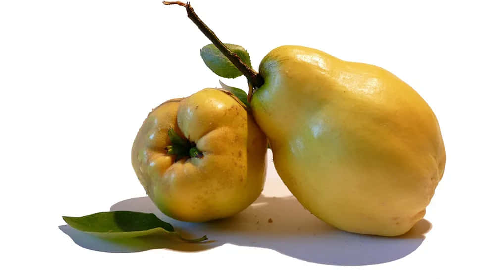 Quince 桌布 壁紙 — 兩個成熟的榲桲果實連同綠葉放在白色表面上，投下柔和陰影。