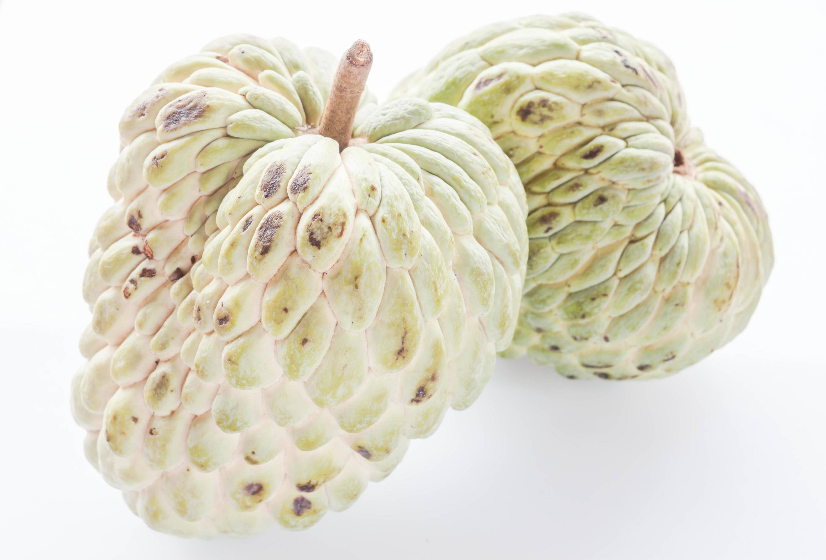 Fruits 桌布 壁紙 — 兩個成熟的牛心果，帶有紋理的綠色外皮和棕色斑點，放在潔白的背景上。