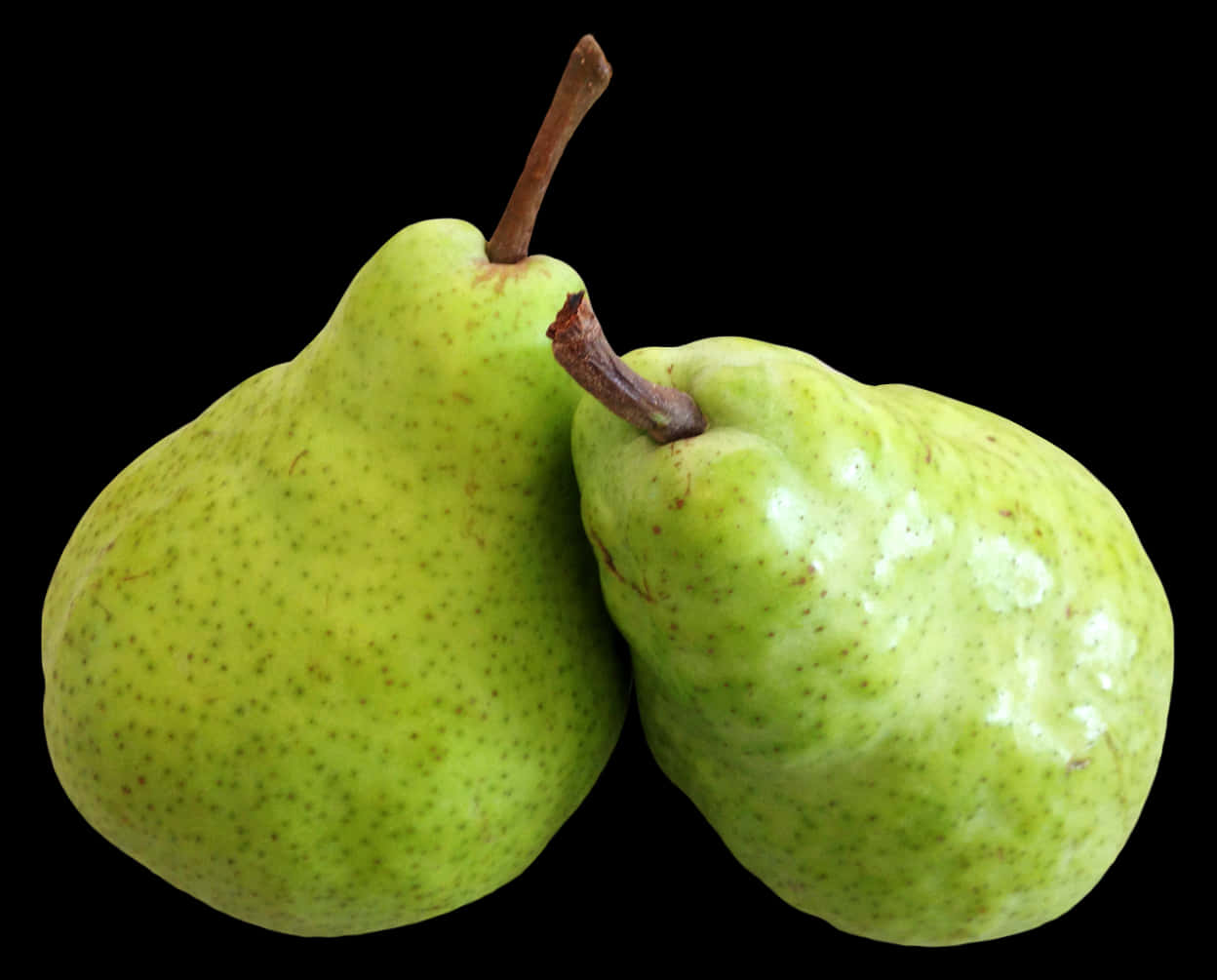 Fruit 桌布 壁紙 — 兩個成熟的綠色梨子帶有棕色莖，靠在純黑背景上，展示其紋理表皮。