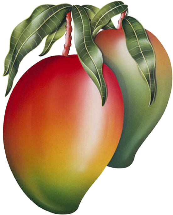 Mango 桌布 壁紙 — 兩個成熟的芒果，帶有綠色葉子，散發出鮮豔的紅橙色和黃色色調。