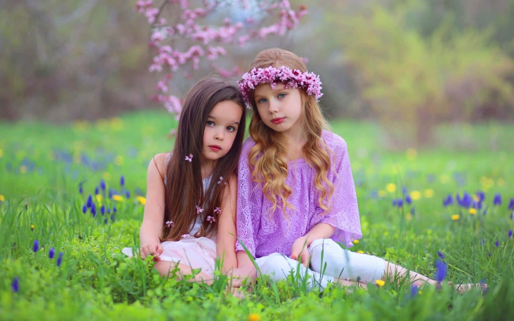 Friends 桌布 壁紙 — 兩個戴著花冠的小女孩一起坐在陽光明媚的草地上，草地上點綴著紫色和黃色的野花。