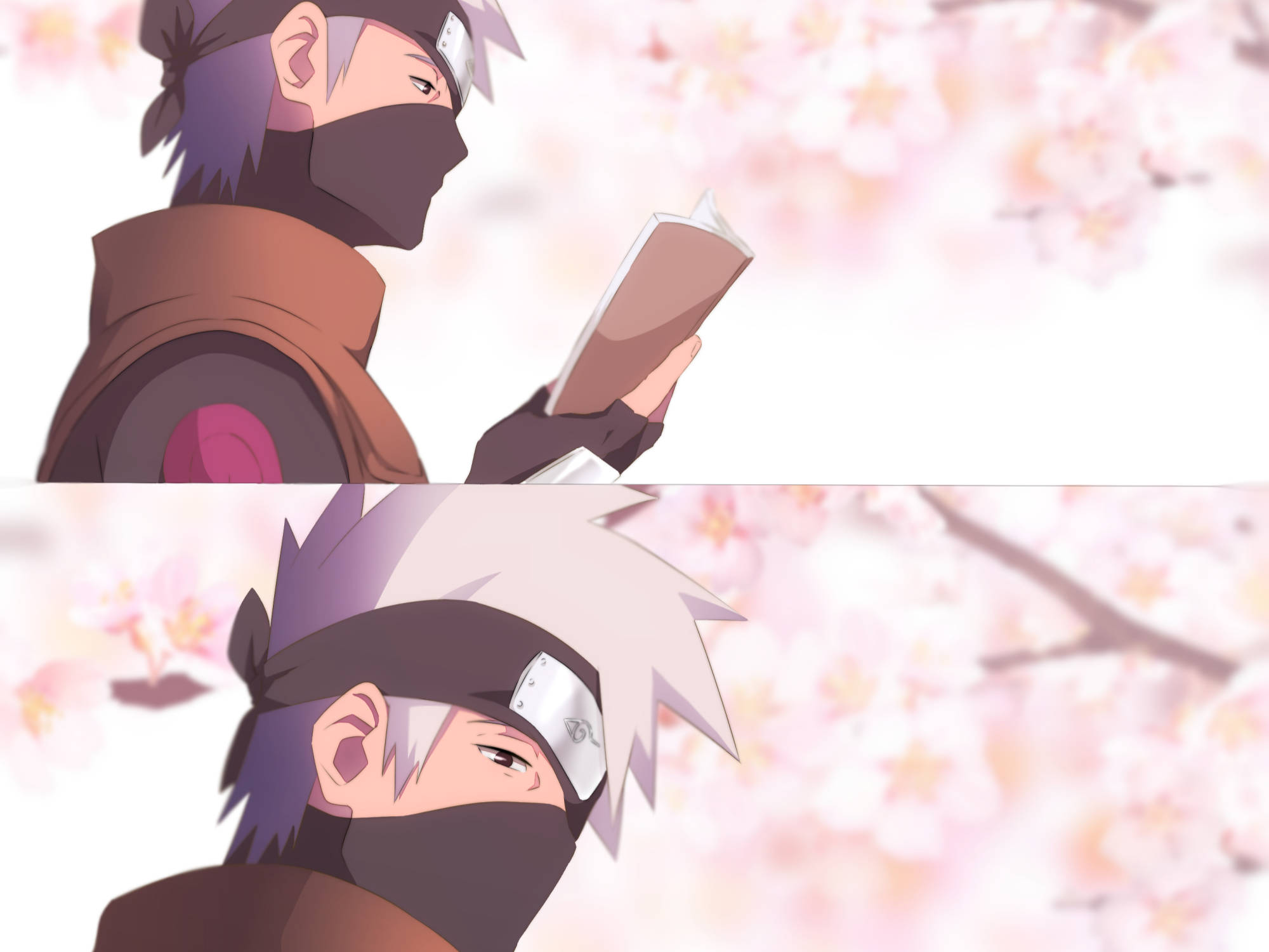 Naruto Kakashi 桌布 壁紙 — 兩個戴面具的動漫忍者在柔和的粉紅色櫻花下閱讀書籍，呈現寧靜的春日場景。