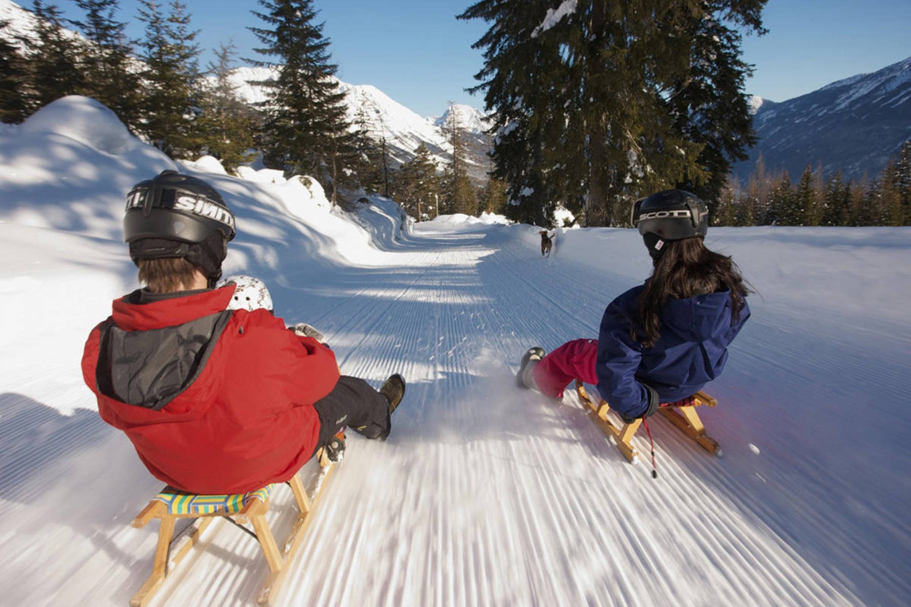 fun 桌布 壁紙 — 兩個戴頭盔的小孩在陽光普照的雪坡上滑雪橇，兩旁是常青樹和遠處的雪山。