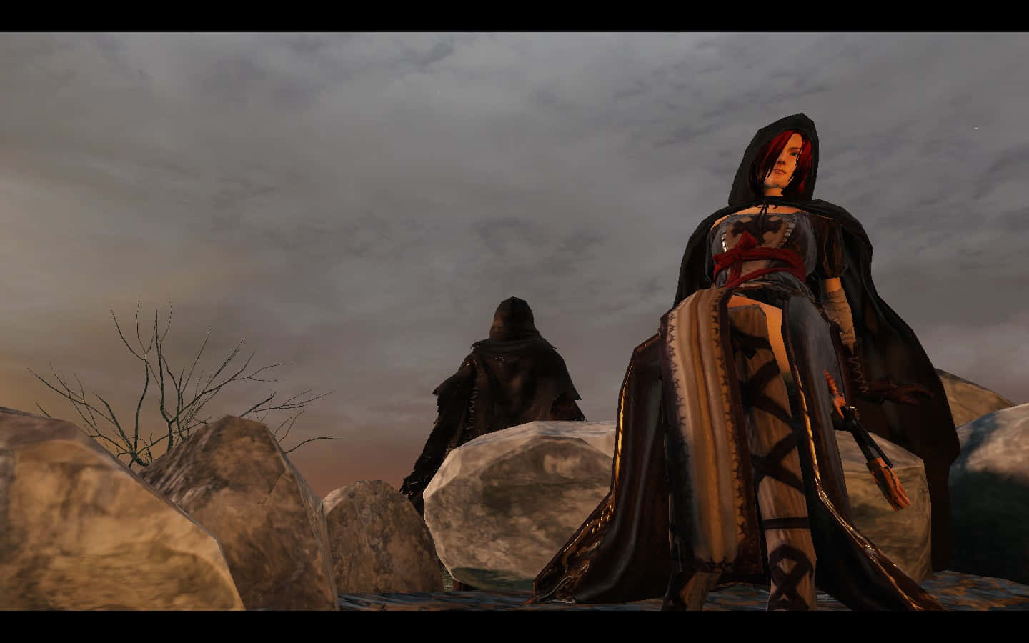 Dark Souls Emerald Herald 桌布 壁紙 — 兩個披著斗篷的身影站在岩石地形上，背景是陰沉暮色天空和光禿樹木。