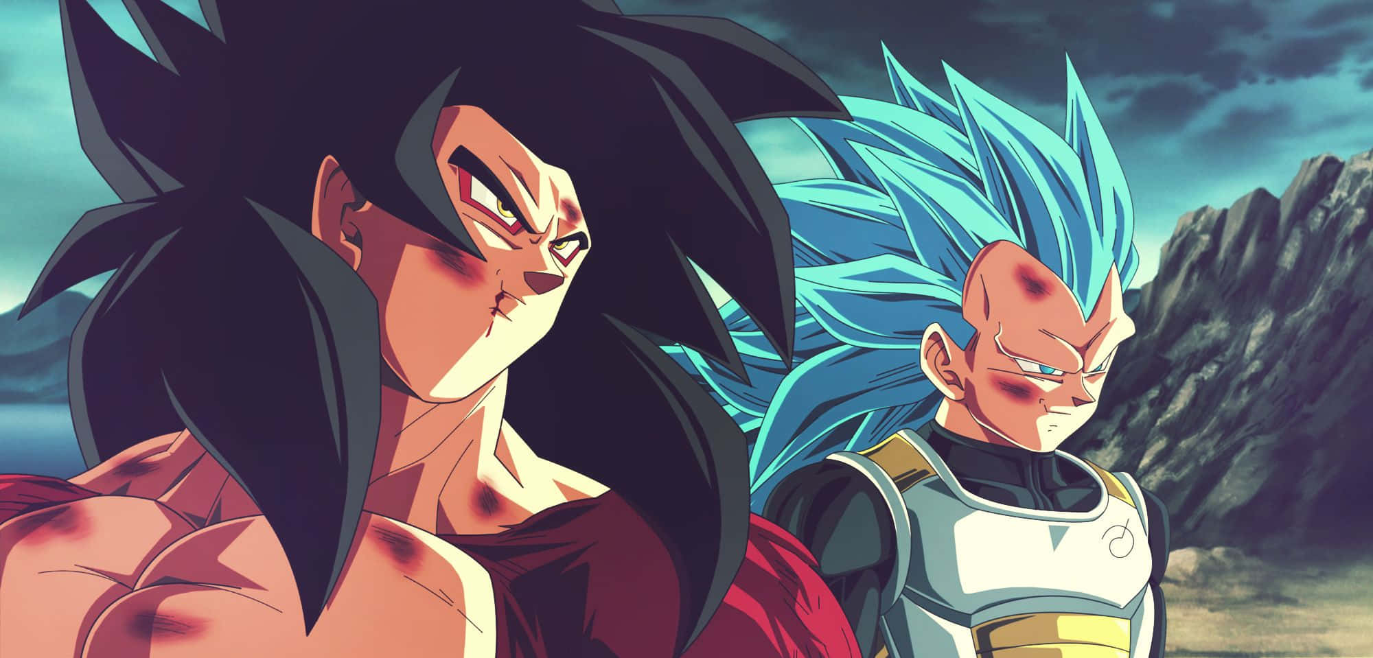 Goku Ssj4 桌布 壁紙 — 兩個擁有尖刺頭髮的動漫戰士站在岩石景觀中，天空風暴密布。