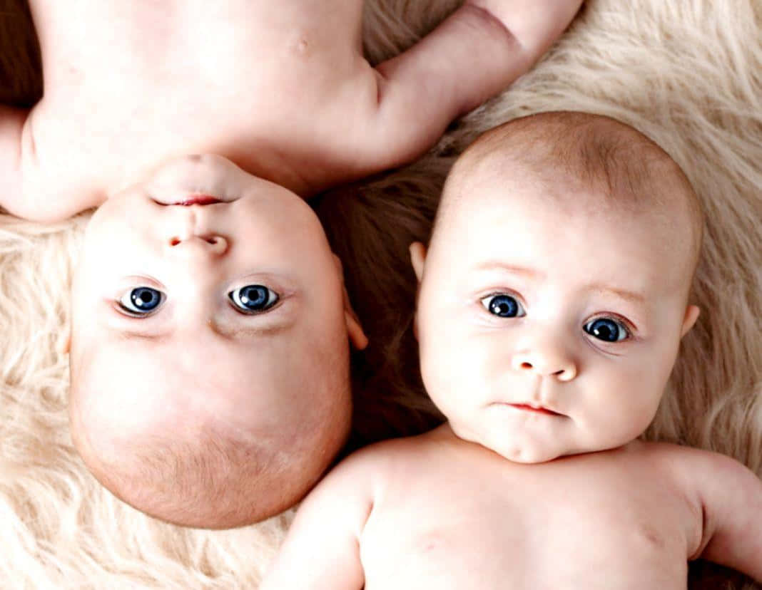 twins 桌布 壁紙 — 兩個擁有引人注目藍色眼睛的嬰兒從柔軟蓬鬆的地毯上向上凝視，他們天真無邪的臉龐被溫柔地俯拍下來。