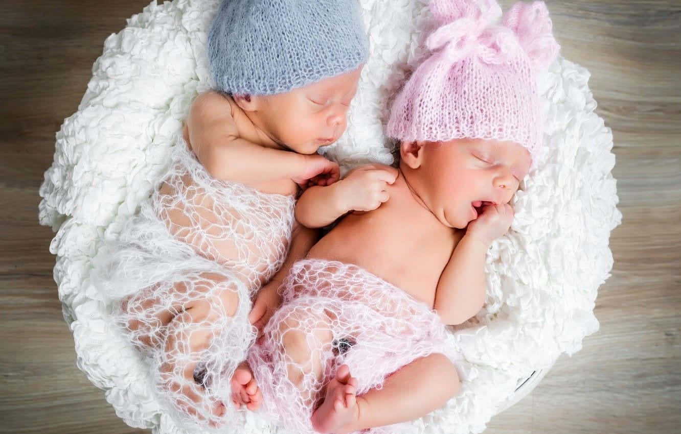 Cute Babies 桌布 壁紙 — 兩個新生雙胞胎在 fluffy 白色巢穴中安睡，戴著針織帽，一個藍色一個粉紅色。