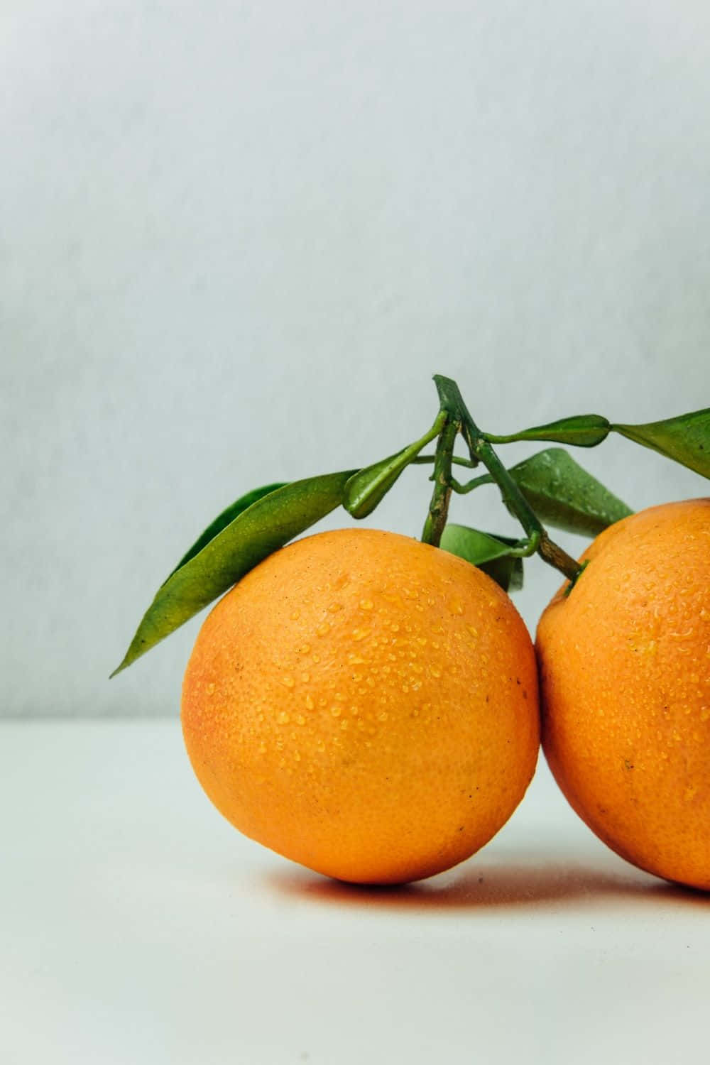 Cute Orange 桌布 壁紙 — 兩個新鮮柳橙帶有露珠和綠葉，放在白色表面上，背景為柔和灰色。