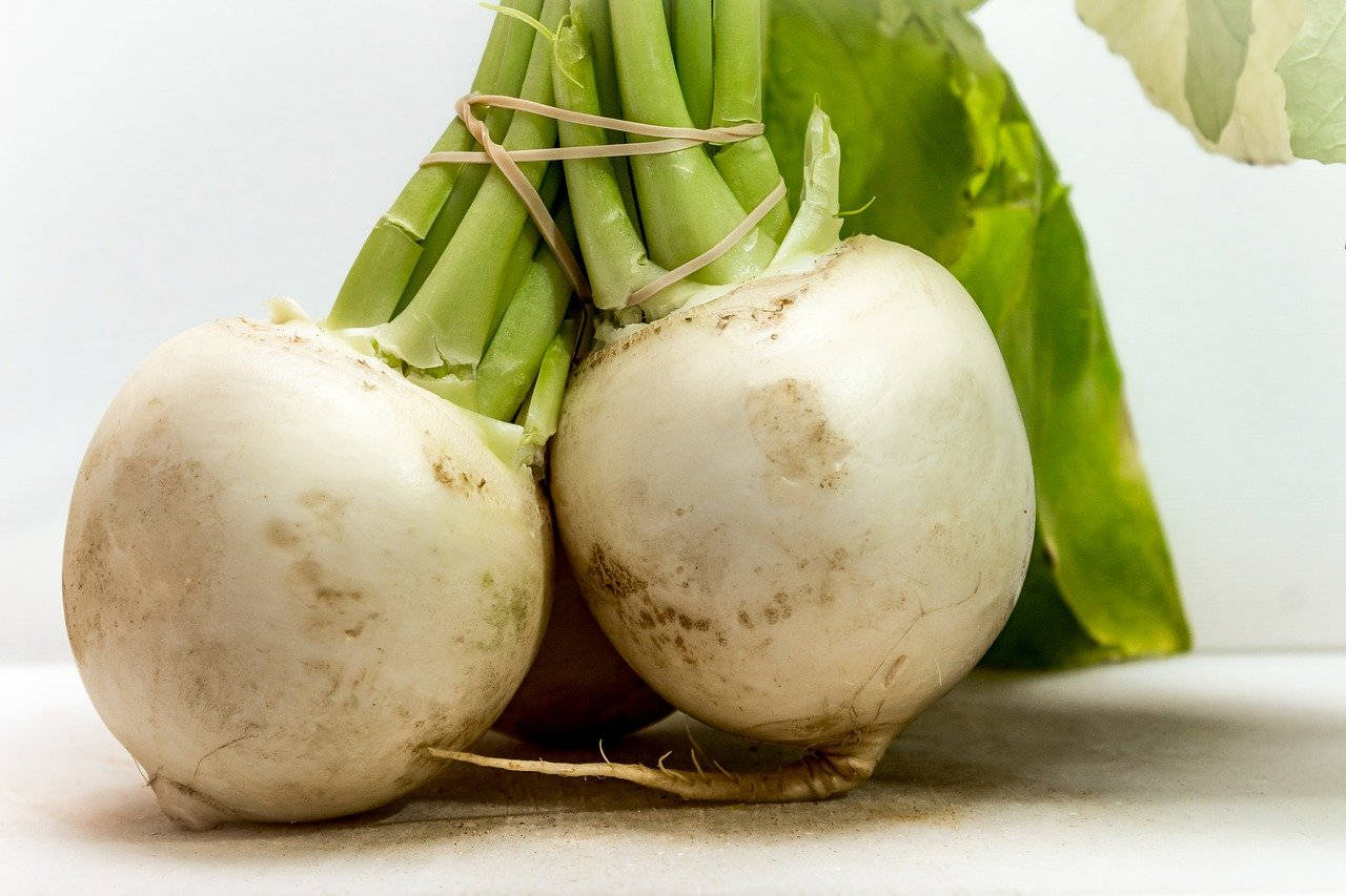 Healthy Food 桌布 壁紙 — 兩個新鮮的白蘿蔔，帶有綠色莖部綁在一起，放置在光滑的表面上，背景為柔和的白色。