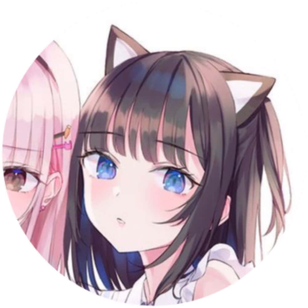 Matching Pfp 桌布 壁紙 — 兩個有貓耳和柔和紅暈的動漫女孩在圓形框架內向前凝視，色調為粉彩粉紅和藍色。