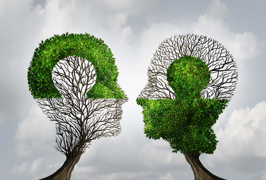 Meaningful 桌布 壁紙 — 兩個樹形人頭面對面，一個鬱鬱蔥蔥，另一個光禿禿的樹枝，背景是陰天。
