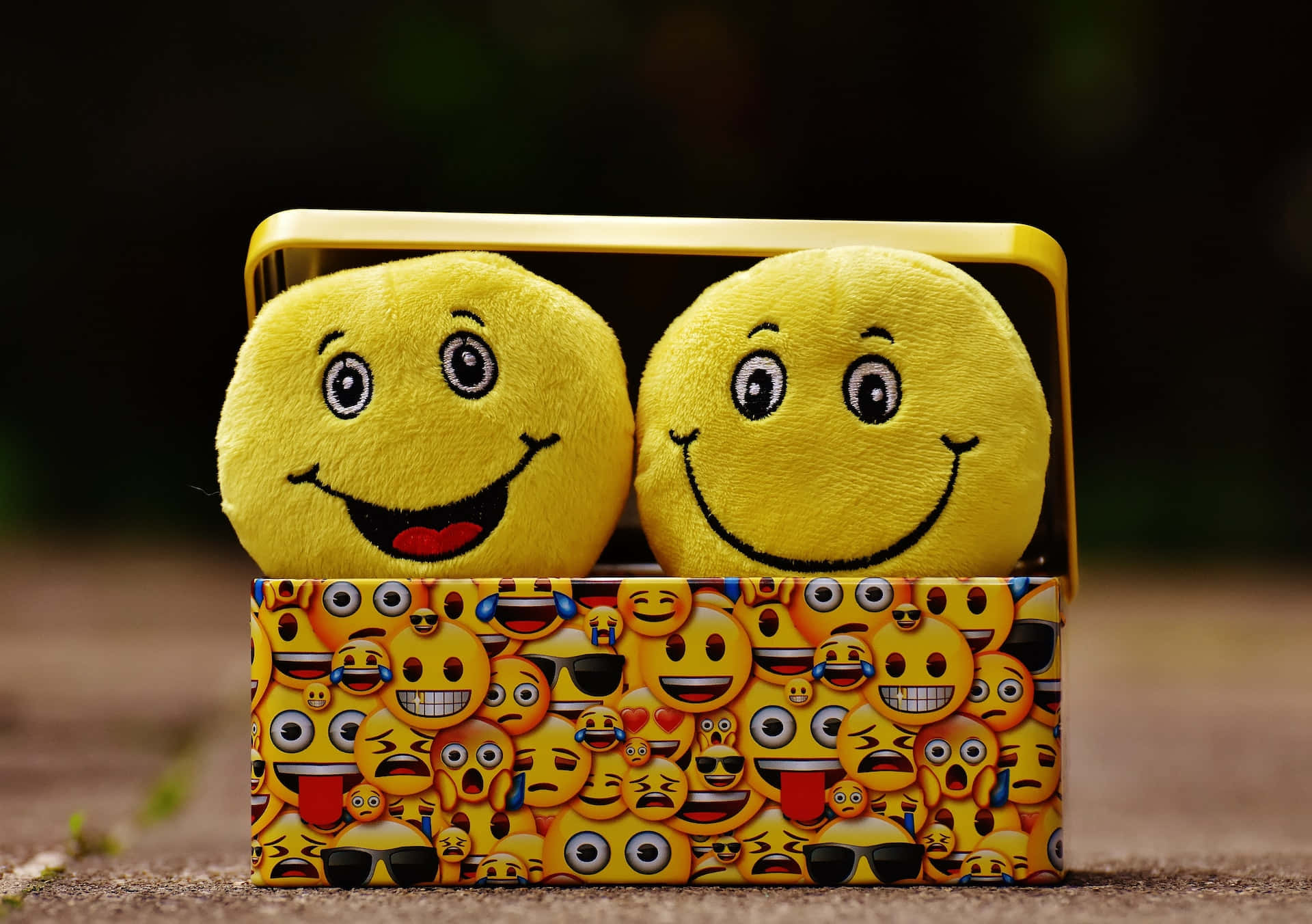 Cheerful 桌布 壁紙 — 兩個毛絨笑臉從一個裝飾著彩色表情符號圖案的罐子裡探出頭來。