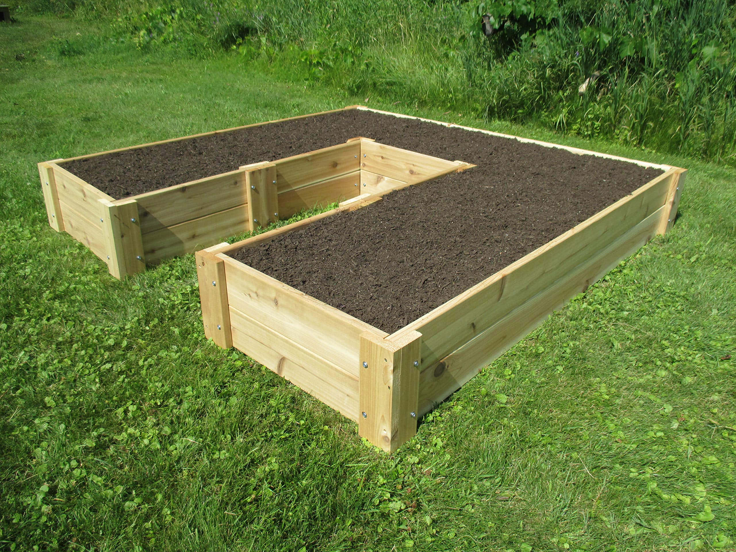 Garden Bed 桌布 壁紙 — 兩個淺色木製高架花床，裝滿深色土壤，放在茂盛的綠色草坪上，在明亮的日光下。