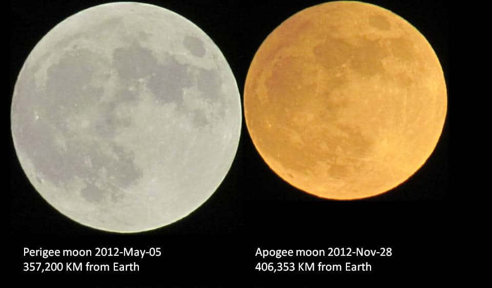 Perigee 桌布 壁紙 — 兩個滿月並排，一個淡灰色，一個金橙色，襯托著黑色天空。