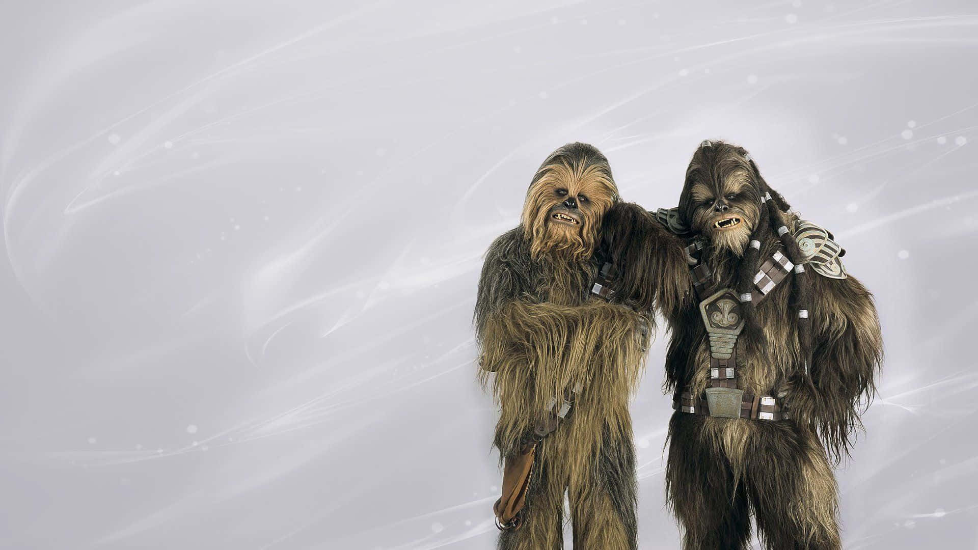 Wookiee 桌布 壁紙 — 兩個烏奇人肩並肩站在旋轉的銀白色宇宙背景前，背景帶有發光粒子。