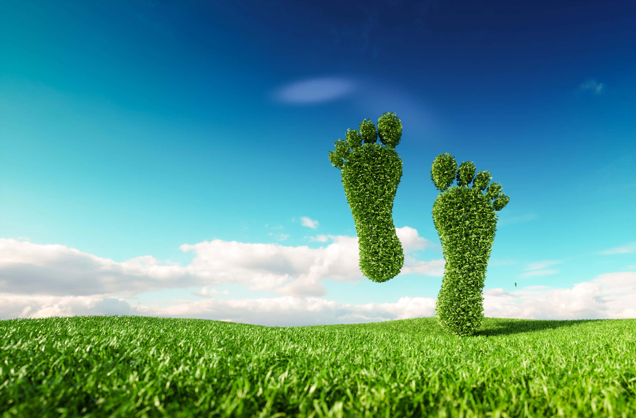 Carbon Footprint 桌布 壁紙 — 兩個由草製成的茂盛綠色腳印漂浮在充滿活力的草地上方，天空湛藍，白雲朵朵。