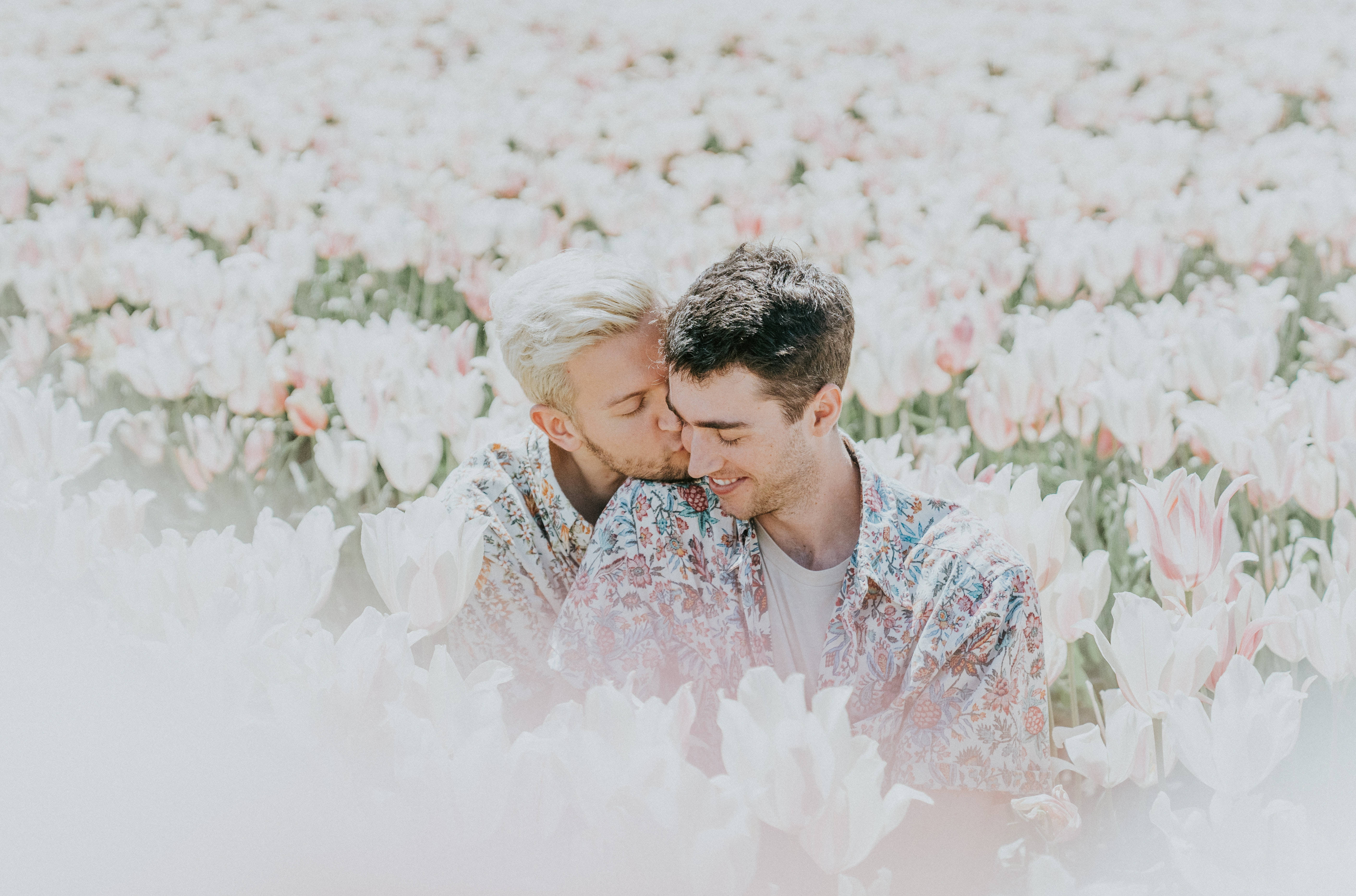 gay kiss 桌布 壁紙 — 兩個男人在柔和日光下，在一片白色和粉紅色鬱金香的花海中分享一個溫柔的吻。