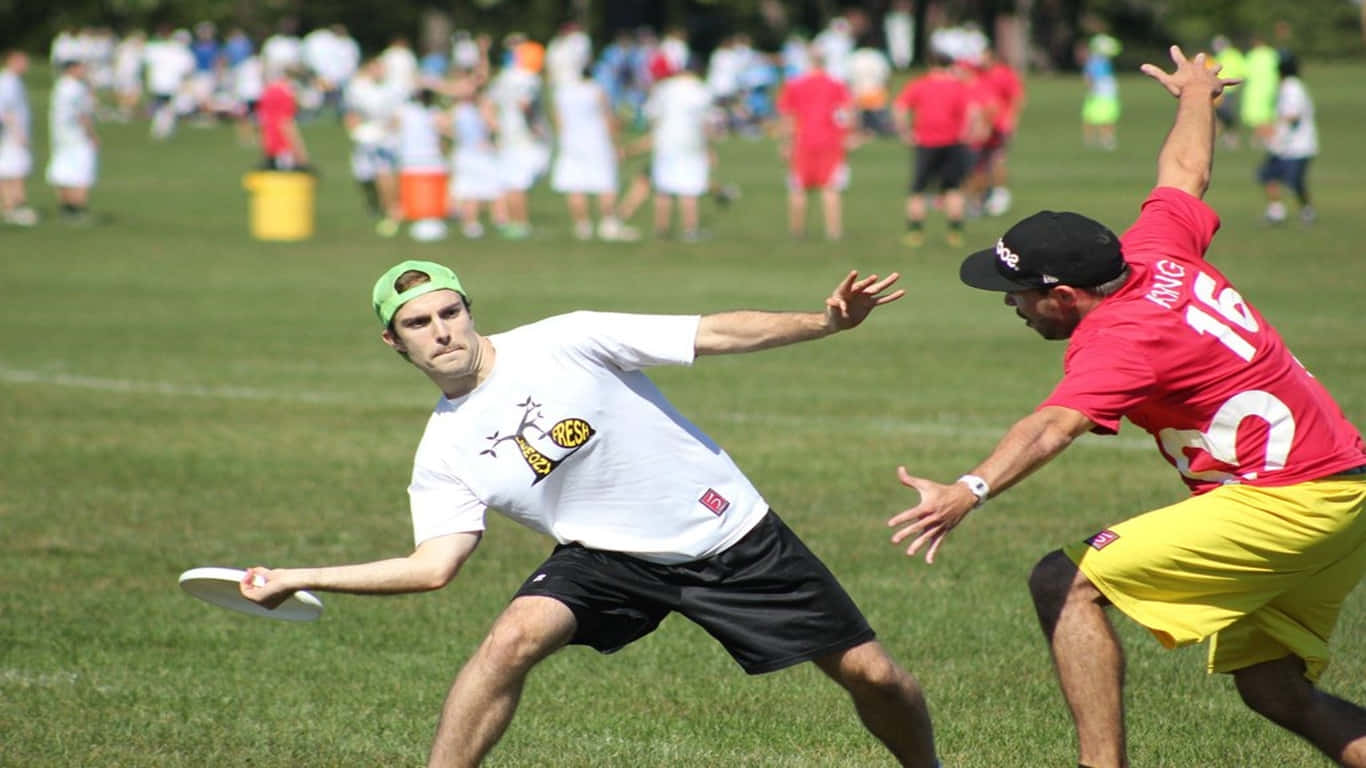 1366x768 Ultimate Frisbee 桌布 壁紙 — 兩個男人在草地上激烈競爭，一個擲飛盤，另一個在明亮陽光的戶外環境中防守。