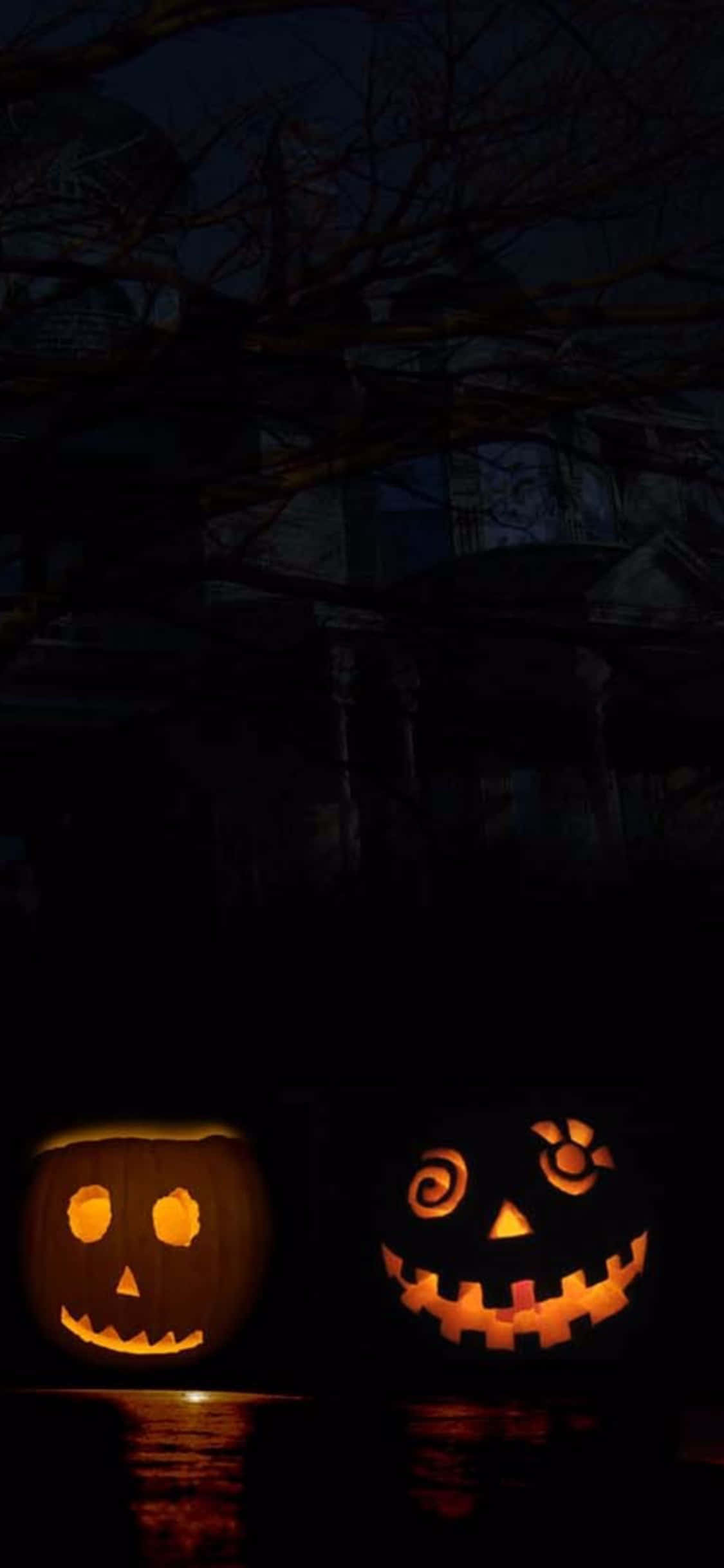 詭異的GIF 桌布 壁紙 — 兩個發光的傑克南瓜燈，雕刻著面孔，在夜晚黑暗陰森的樹下漂浮在水面上。