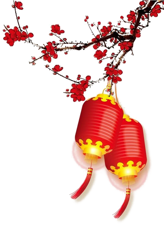 春節 桌布 壁紙 — 兩個發光的紅色燈籠掛在鮮紅色花朵的樹枝上，背景是純黑色。