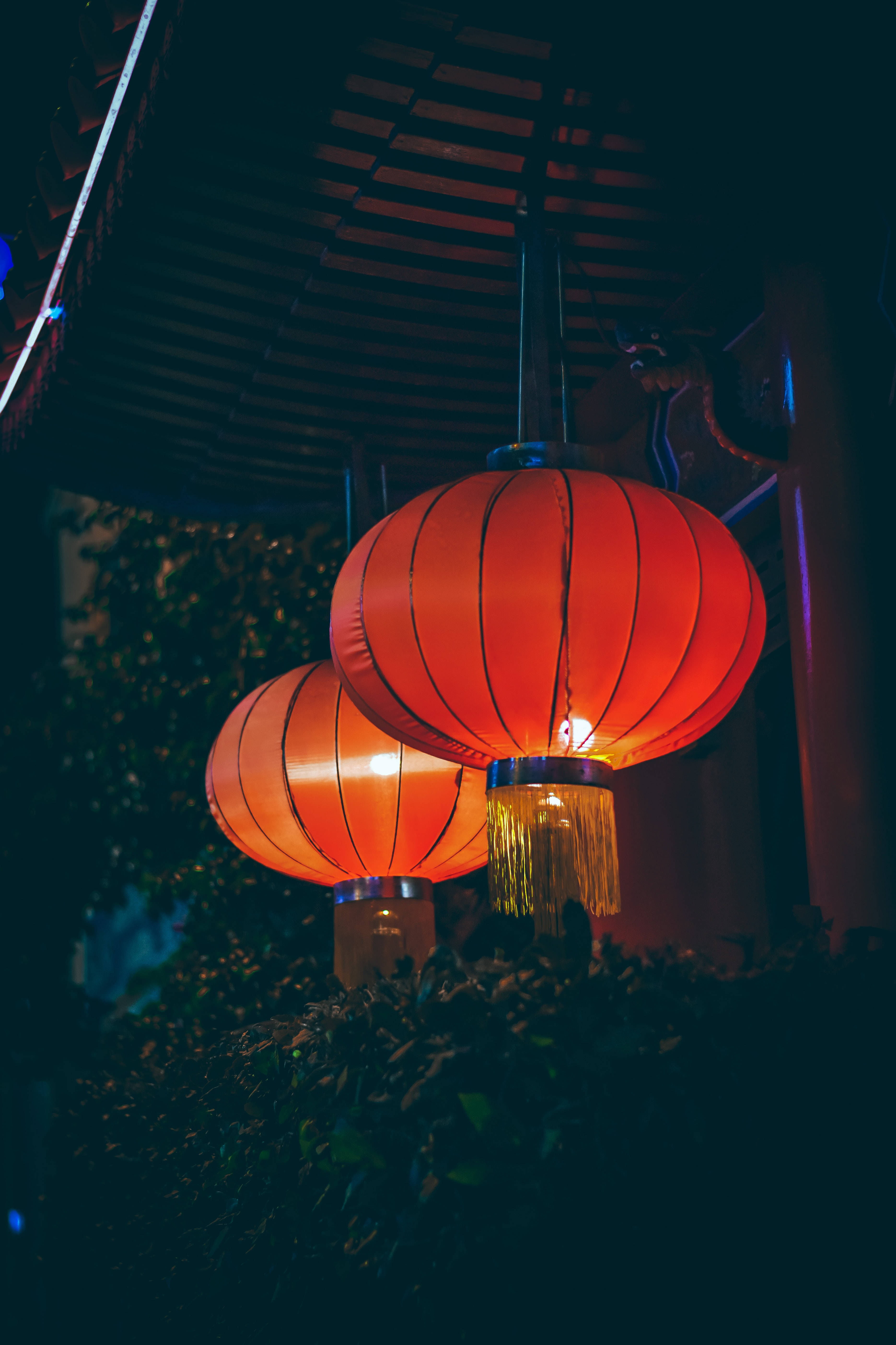 中文 桌布 壁紙 — 兩個發光的紅色紙燈籠溫暖地掛在黑暗的夜空下，下方有綠植。