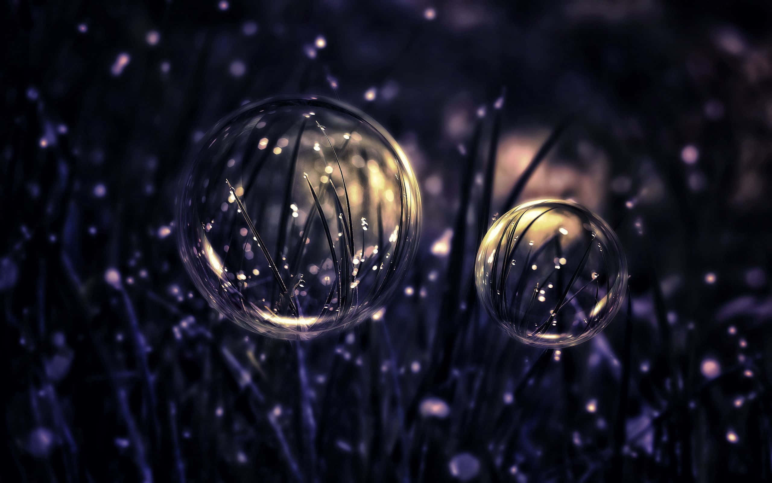 Bubbles 桌布 壁紙 — 兩個發光的肥皂泡漂浮在深色草地上，反射出金色光芒和閃爍的粒子，營造出神奇的黃昏場景。