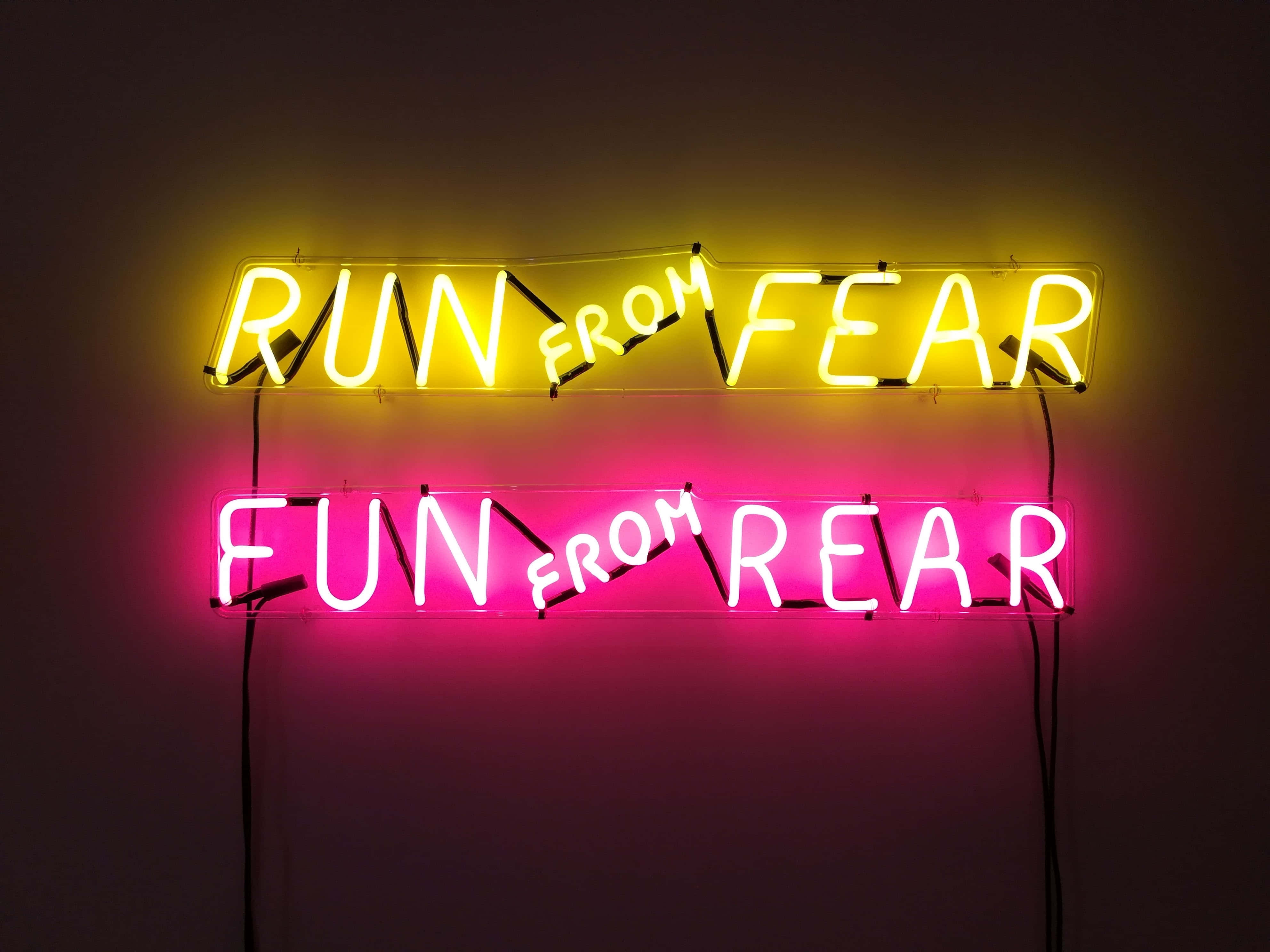 桌布 壁紙 — 兩個發光的霓虹燈牌，一個黃色寫著 run from fear，一個粉紅色寫著 fun from rear，安裝在深色牆上。
