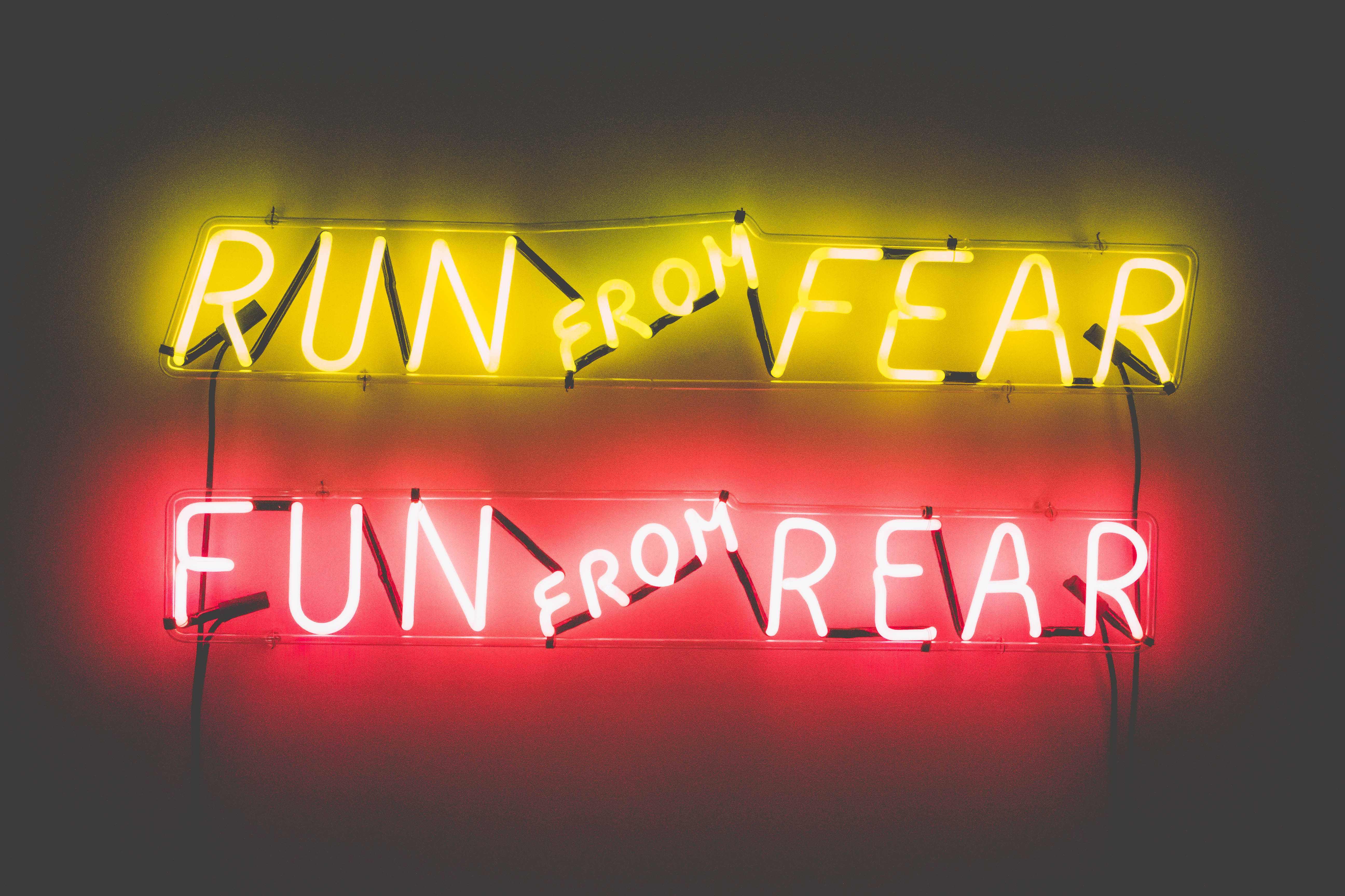 Funny Meme 桌布 壁紙 — 兩個發光的霓虹燈牌，一個黃色寫著 run from fear，一個紅色寫著 fun from rear，安裝在深色牆上。