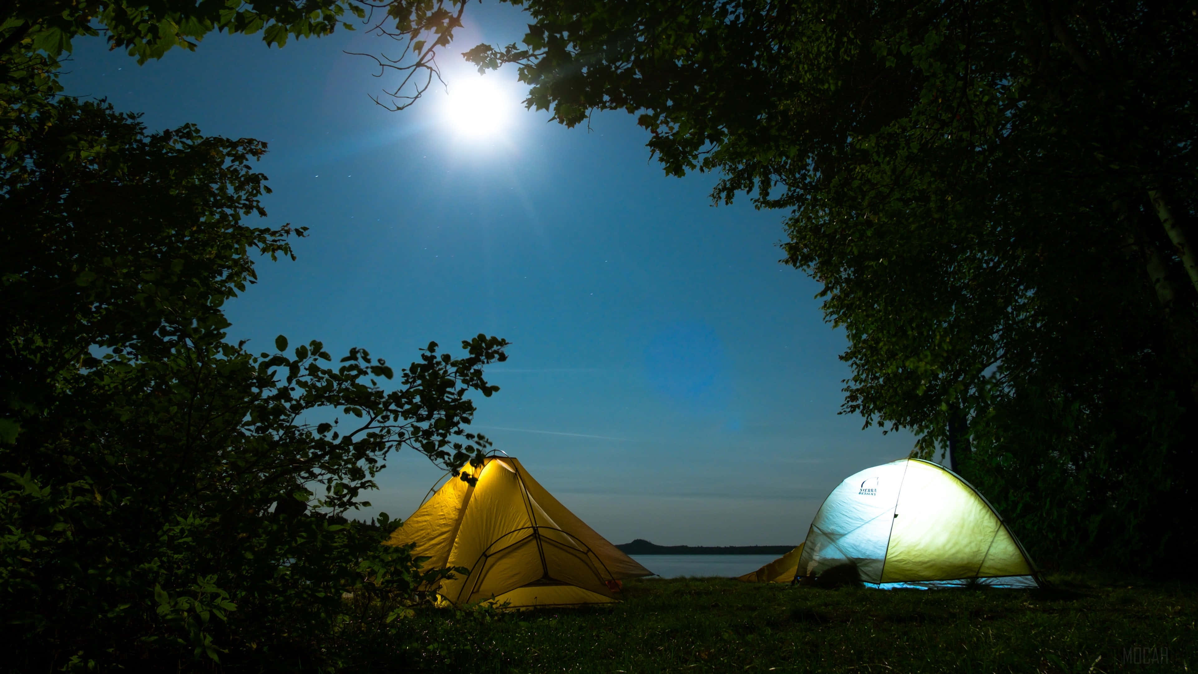Camping 桌布 壁紙 — 兩個發光的露營帳篷，安放在明亮的月光天空下，由深色樹枝框住。