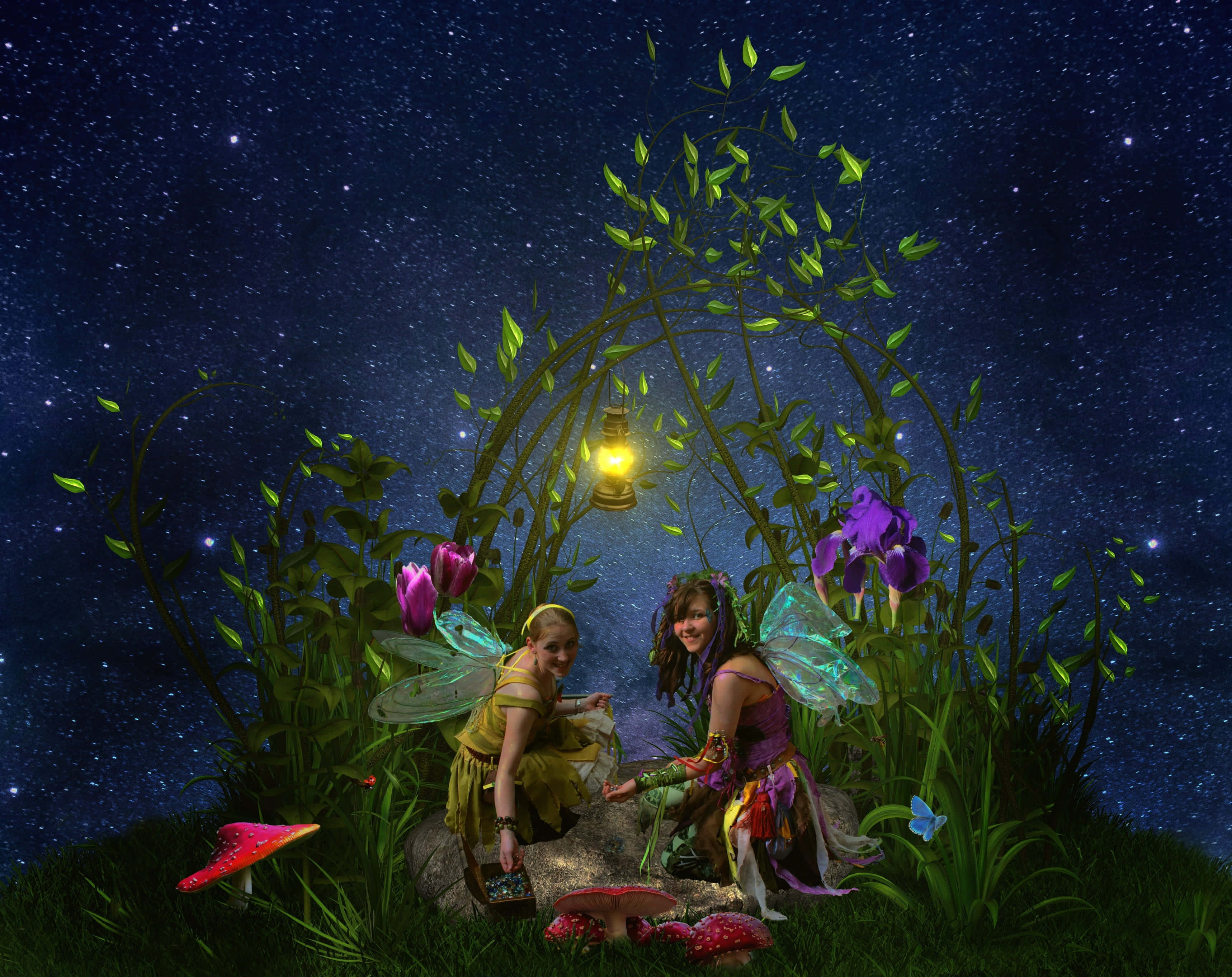 Enchantment 桌布 壁紙 — 兩個發光翅膀的仙子坐在樹葉拱門下面，在滿天星星的夜空下，周圍是發光的蘑菇和紫色花朵。