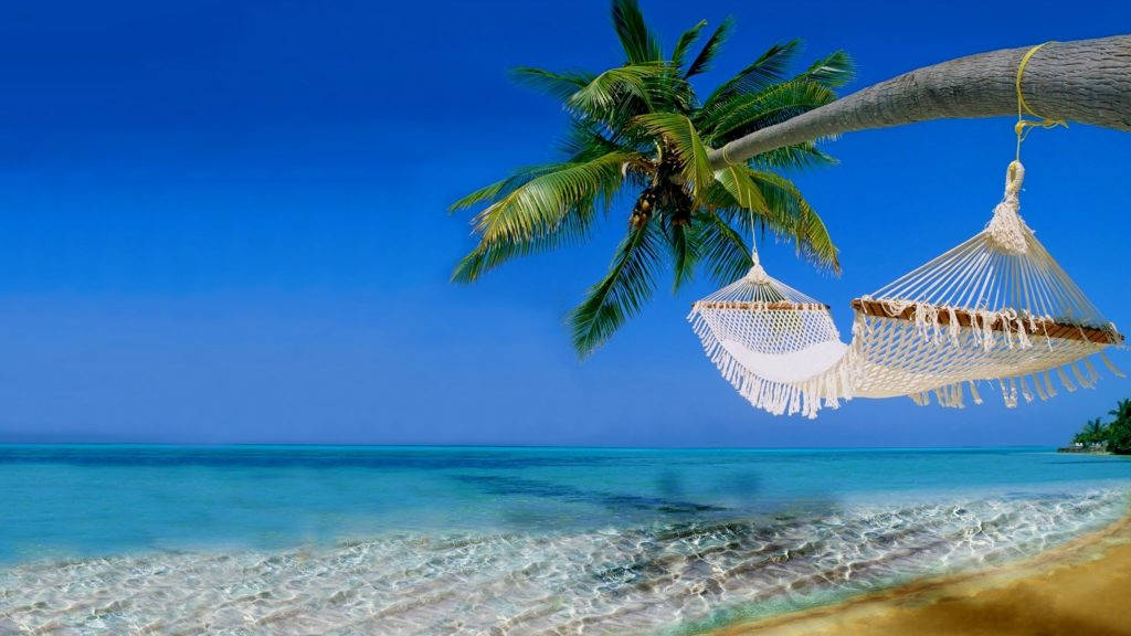Tropical Beach 桌布 壁紙 — 兩個白色流蘇吊床掛在棕櫚樹上，下方是碧綠的海水，在陽光明媚的熱帶海灘上。