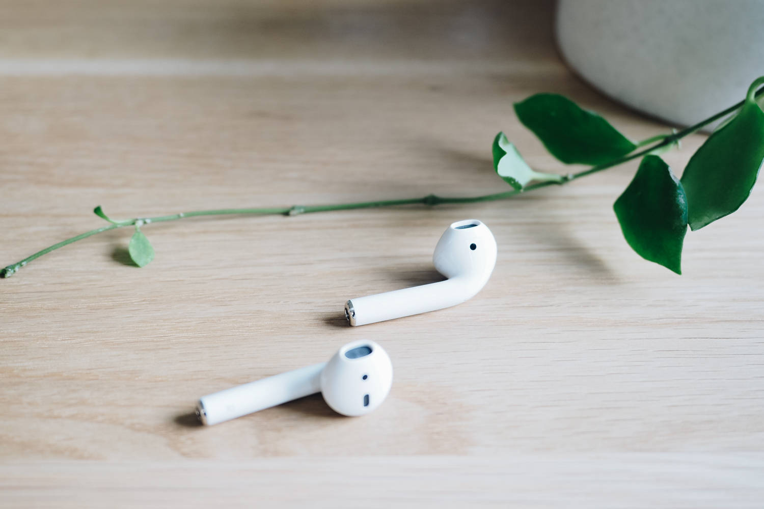 AirPods 桌布 壁紙 — 兩個白色無線耳機放在淺色木質表面上，旁邊有一條綠色葉藤。