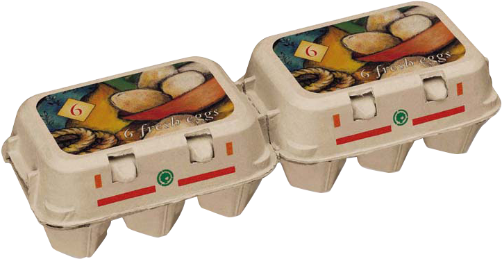 Egg Carton 桌布 壁紙 — 兩個白色紙板雞蛋盒，帶有色彩繽紛的「6個新鮮雞蛋」標籤，並排放在黑色背景上。