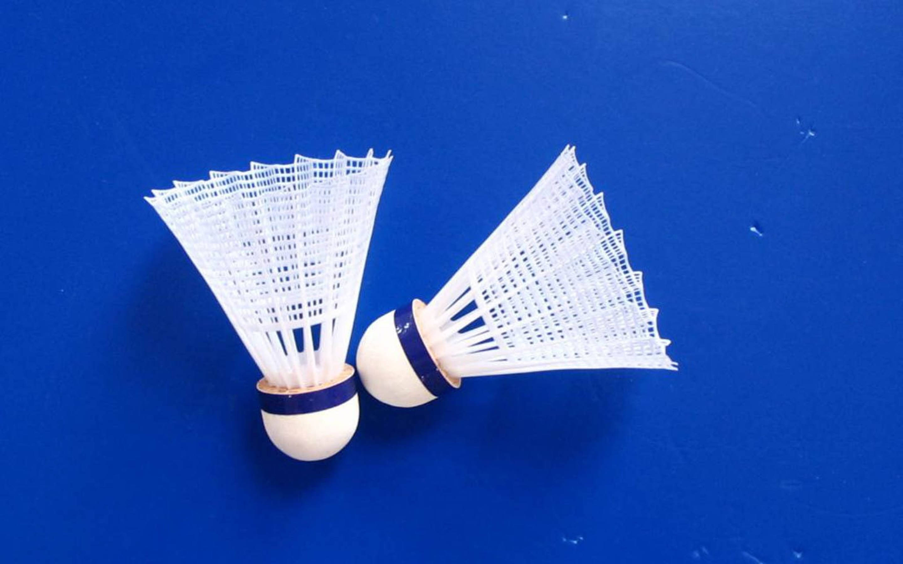Badminton 桌布 壁紙 — 兩個白色羽毛球，帶有藍色帶子，放在充滿活力的藍色表面上。