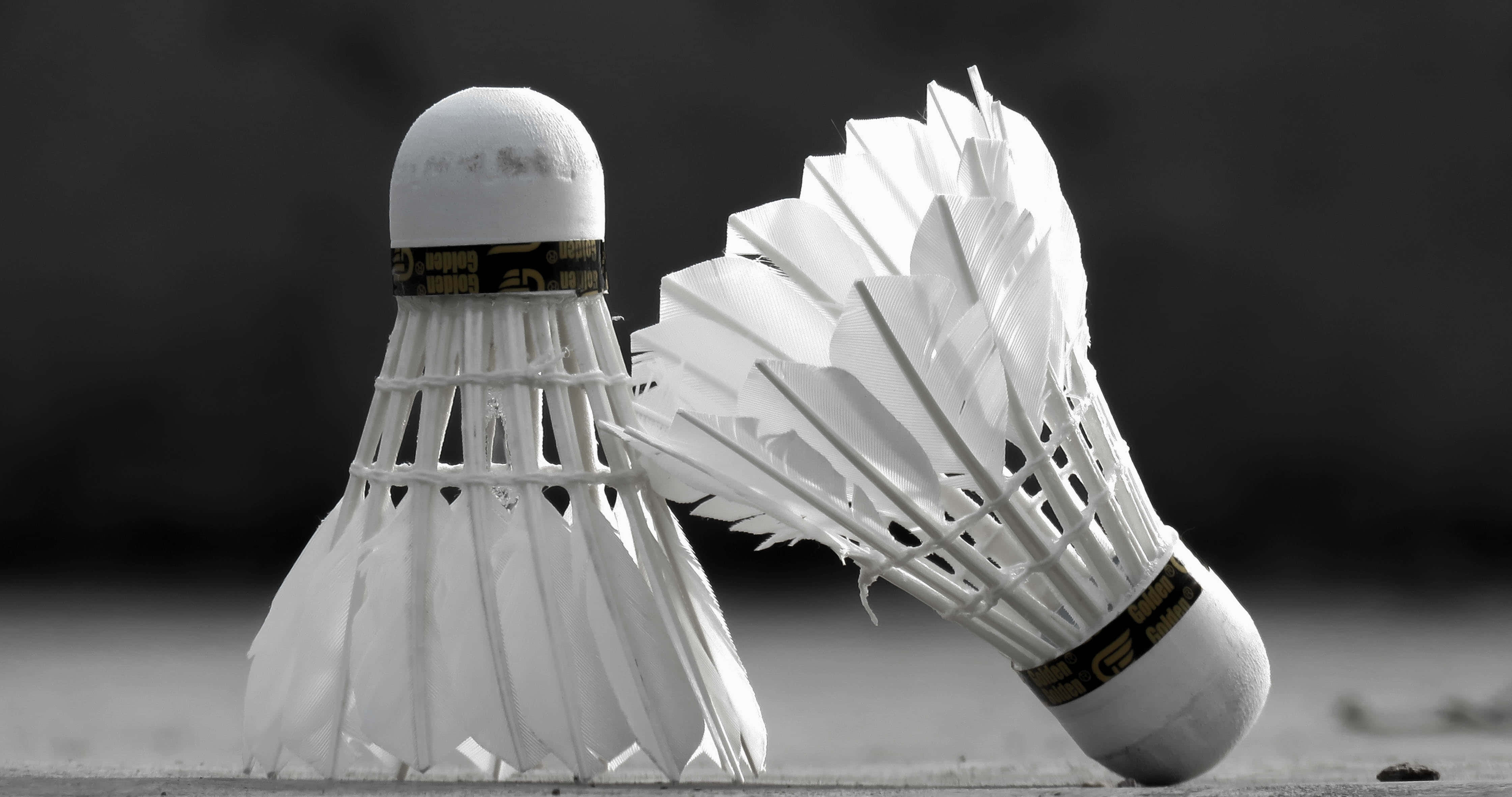 Badminton 桌布 壁紙 — 兩個白色羽毛球放在表面上，一個直立，另一個傾斜，形成強烈的黑白對比。