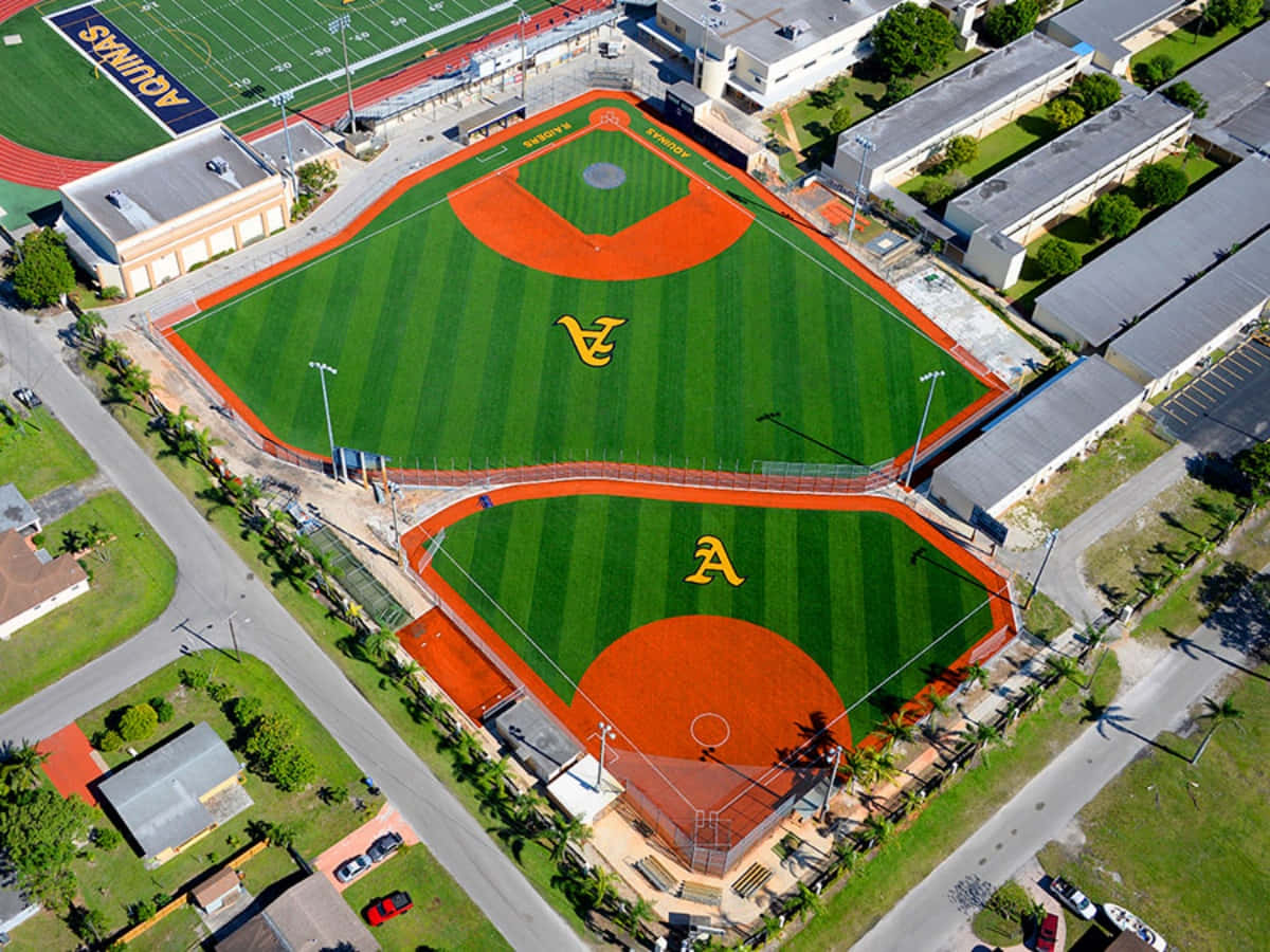 Baseball Field 桌布 壁紙 — 兩個相鄰棒球場的鳥瞰圖，擁有鮮綠色草地和橙色泥土壘包，周圍環繞建築物和棕櫚樹。